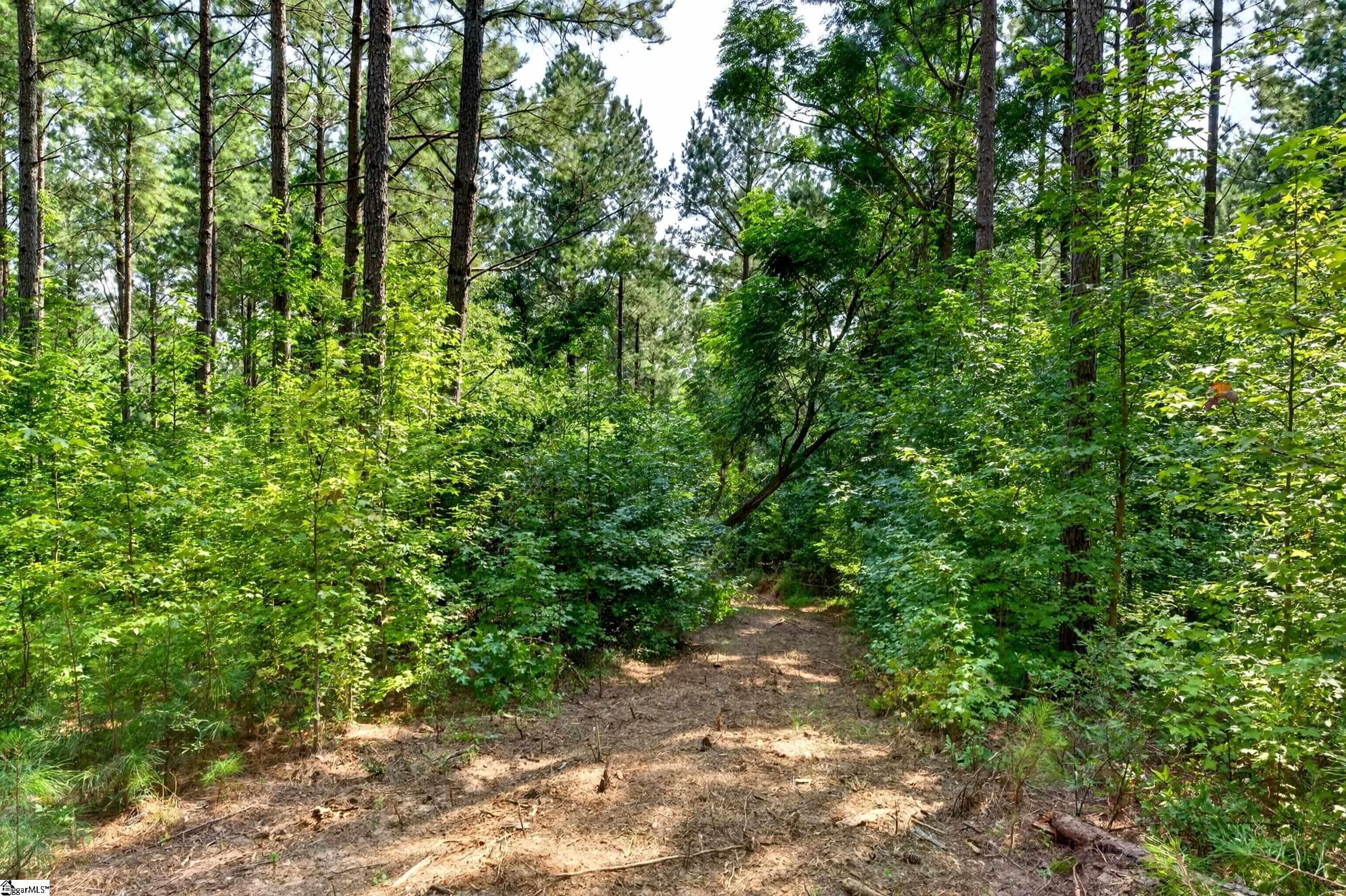 00 Todd Road Property Photo 15
