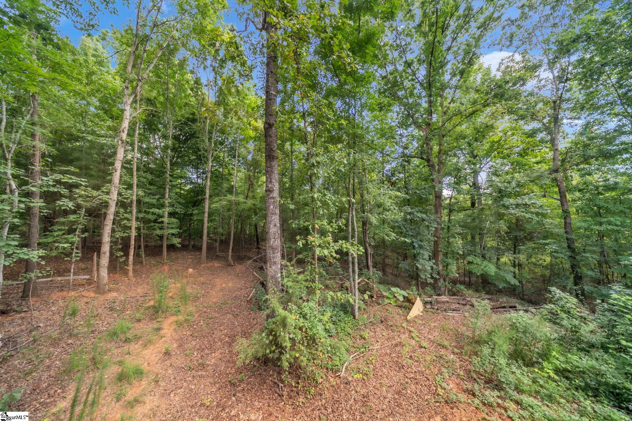 770 Princeton Highway Property Photo 32