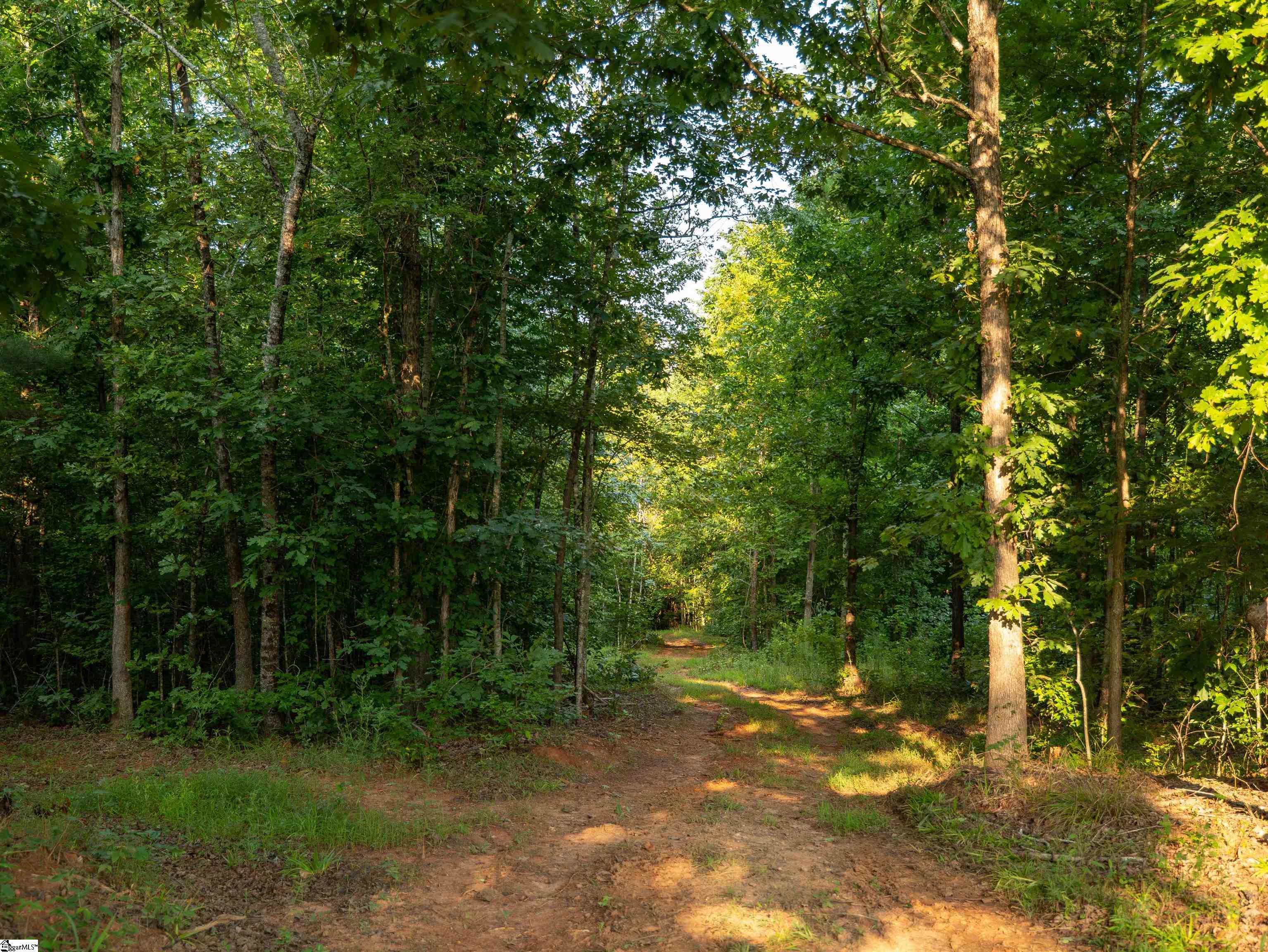 00 Crowe Creek Road Property Photo 7