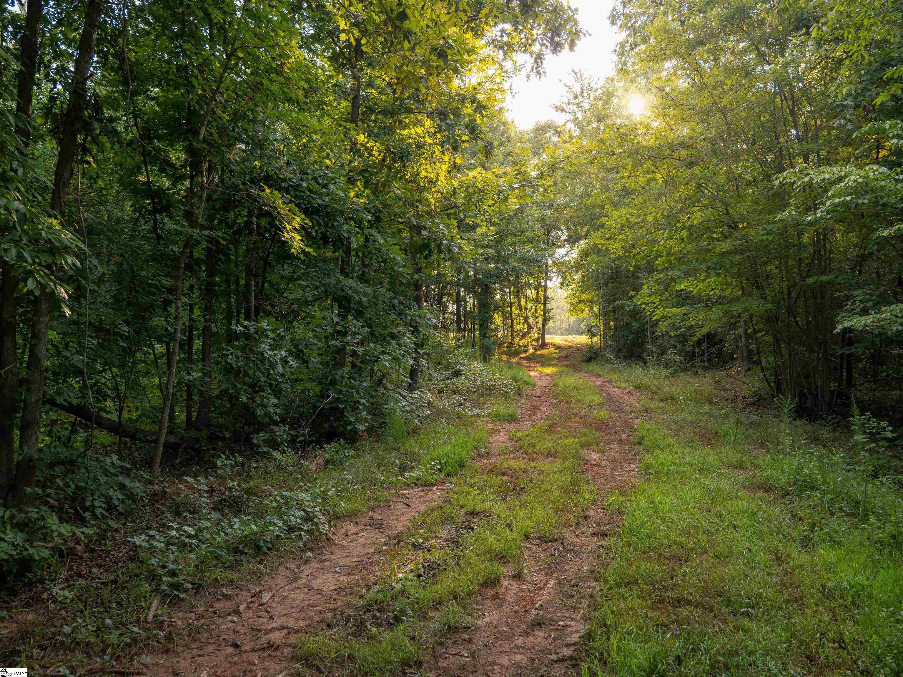 00 Crowe Creek Road Property Photo 8