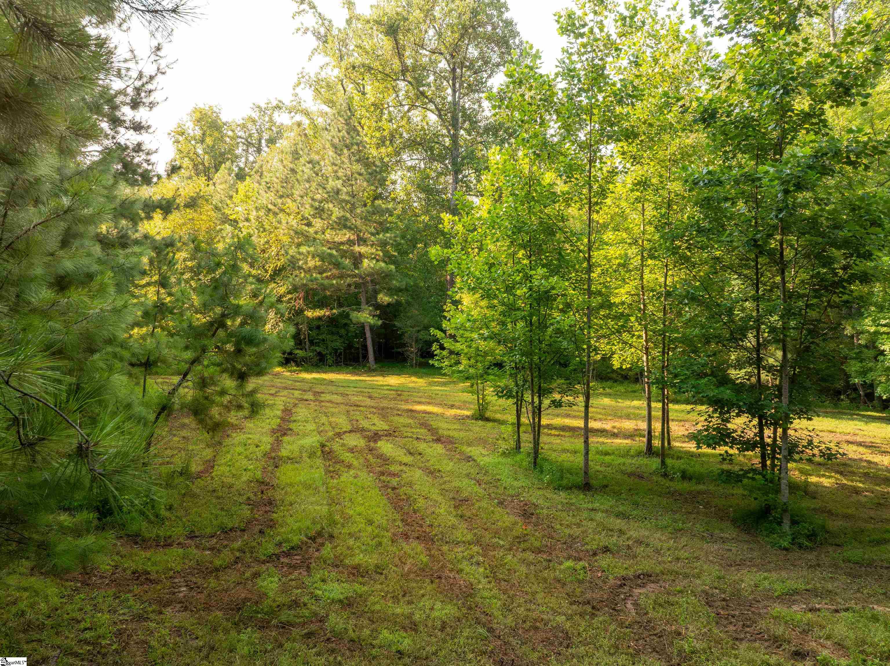 00 Crowe Creek Road Property Photo 11