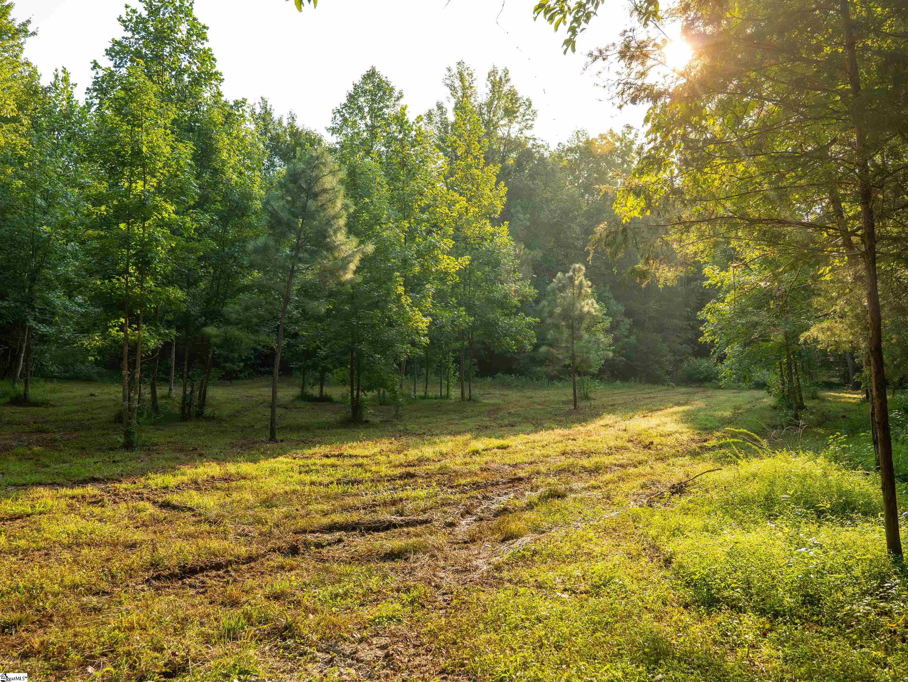00 Crowe Creek Road Property Photo 13