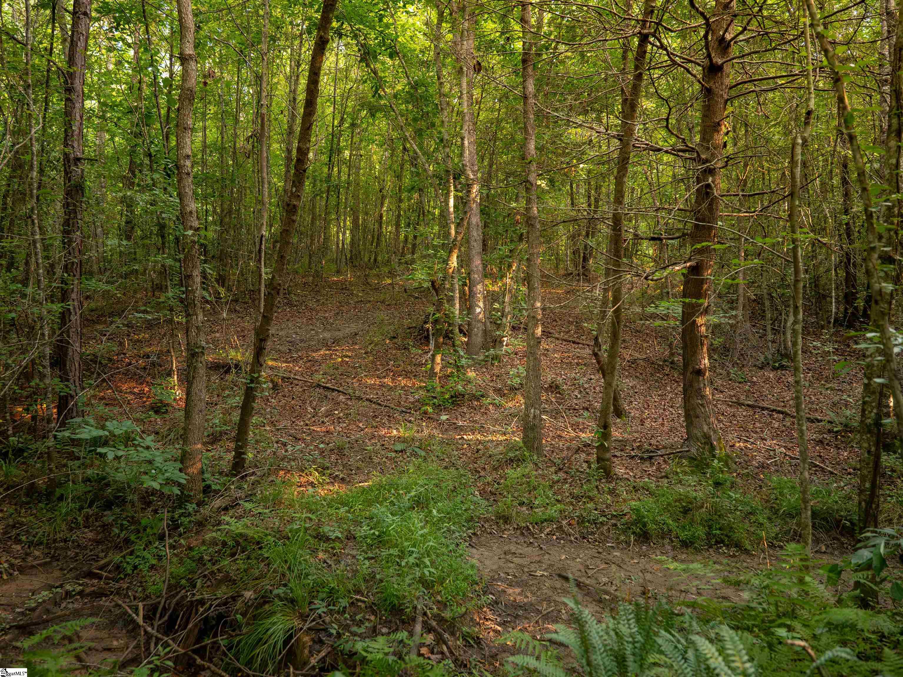 00 Crowe Creek Road Property Photo 20