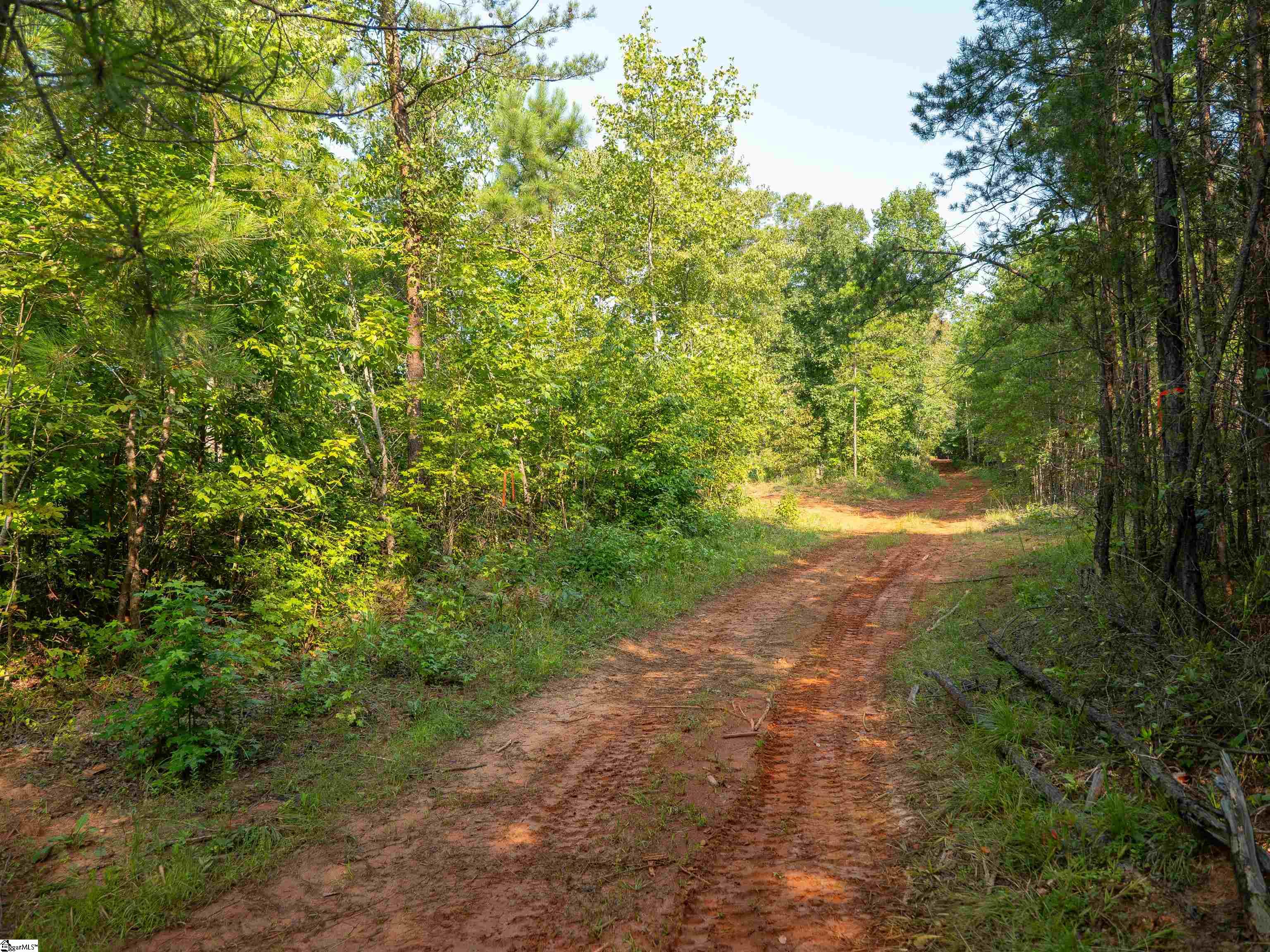 00 Crowe Creek Road Property Photo 14