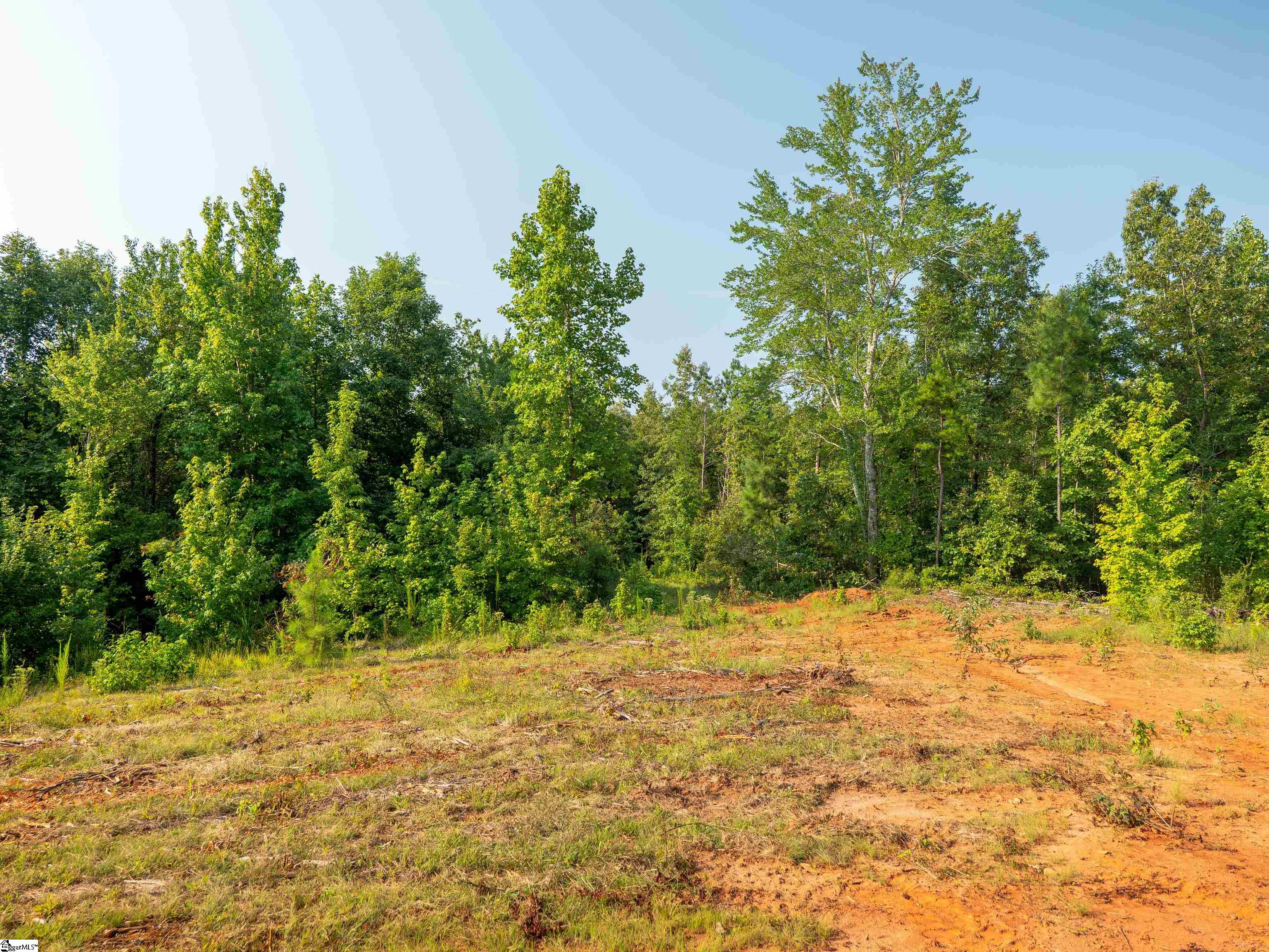 00 Crowe Creek Road Property Photo 17