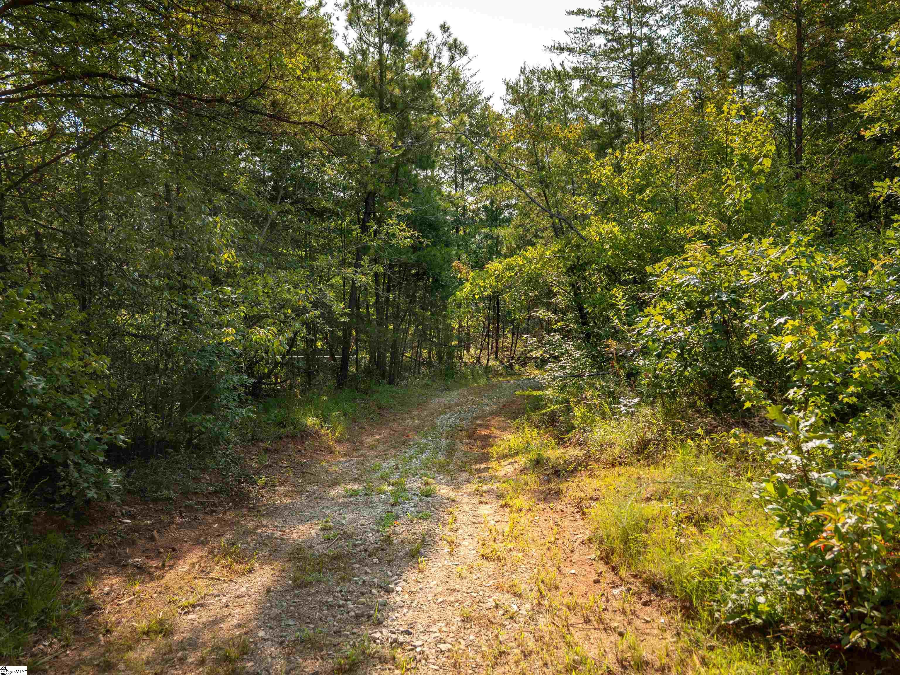 00 Crowe Creek Road Property Photo 19