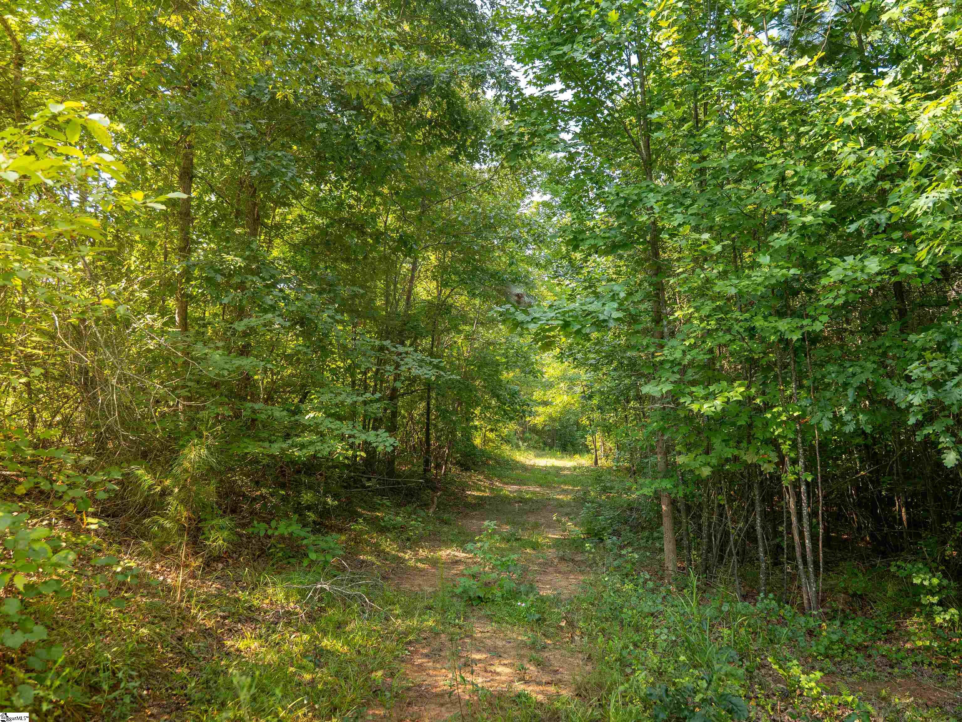 00 Crowe Creek Road Property Photo 24