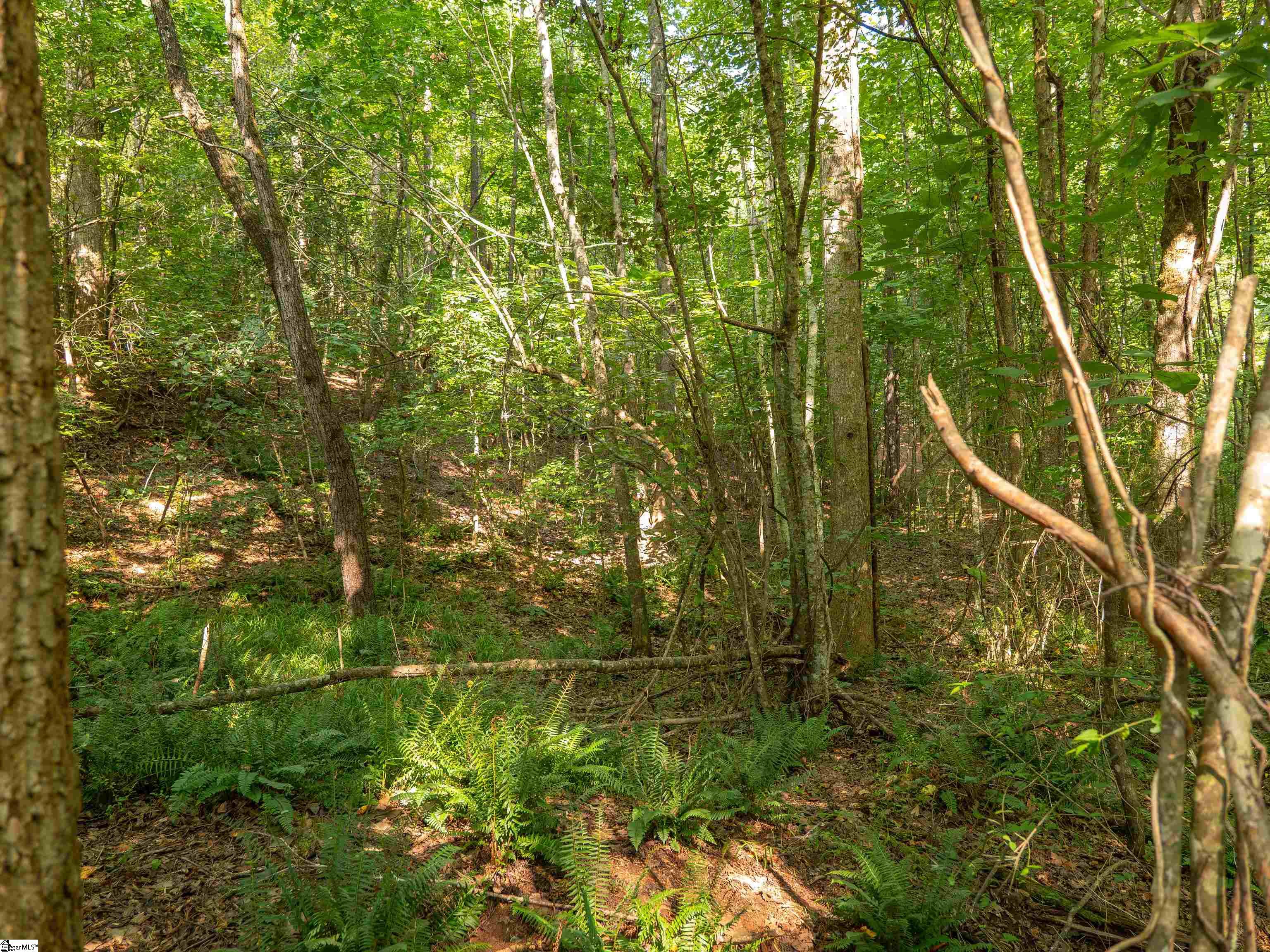 00 Crowe Creek Road Property Photo 25