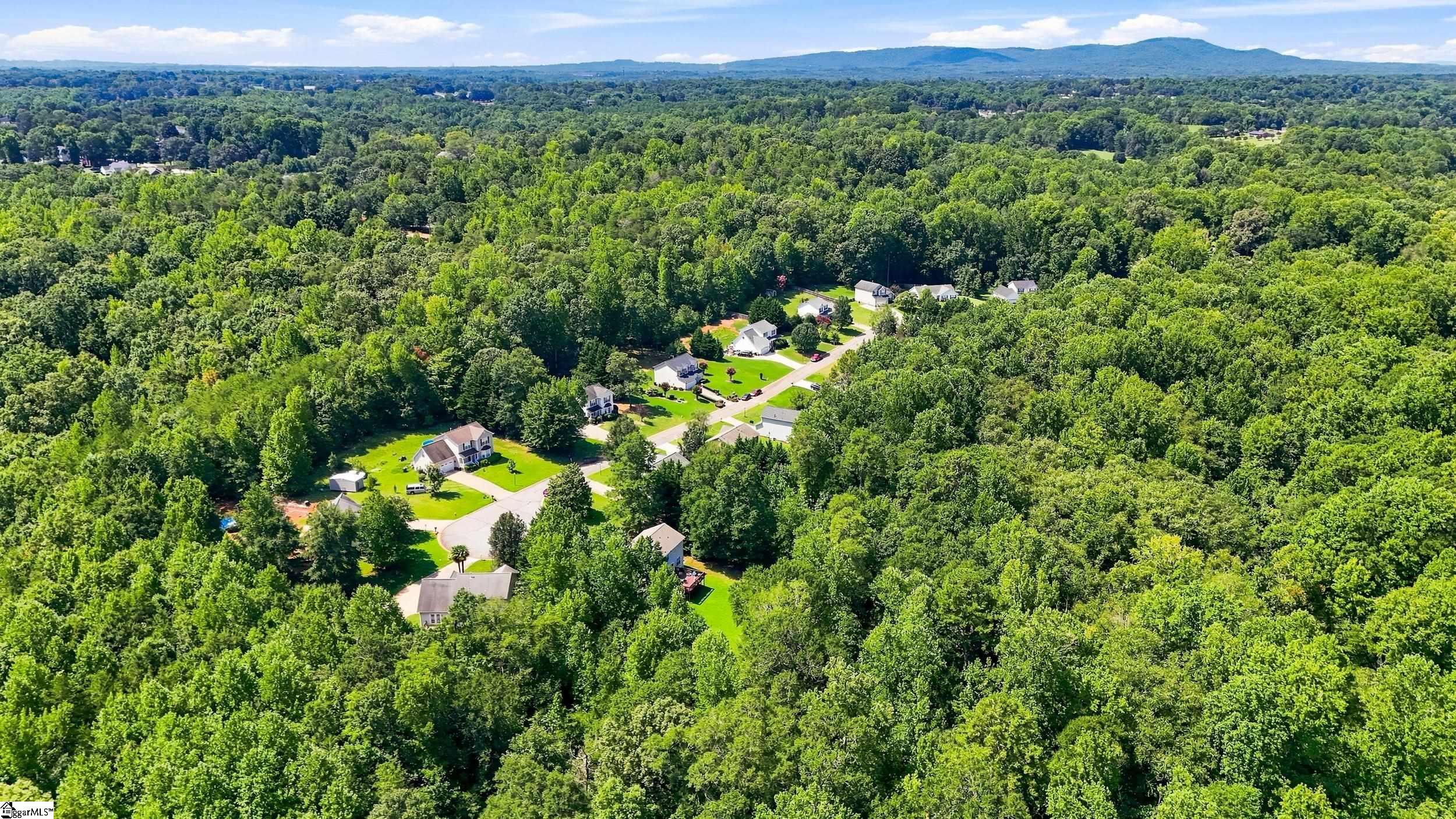 719 Timberwood Ridge Property Photo 43