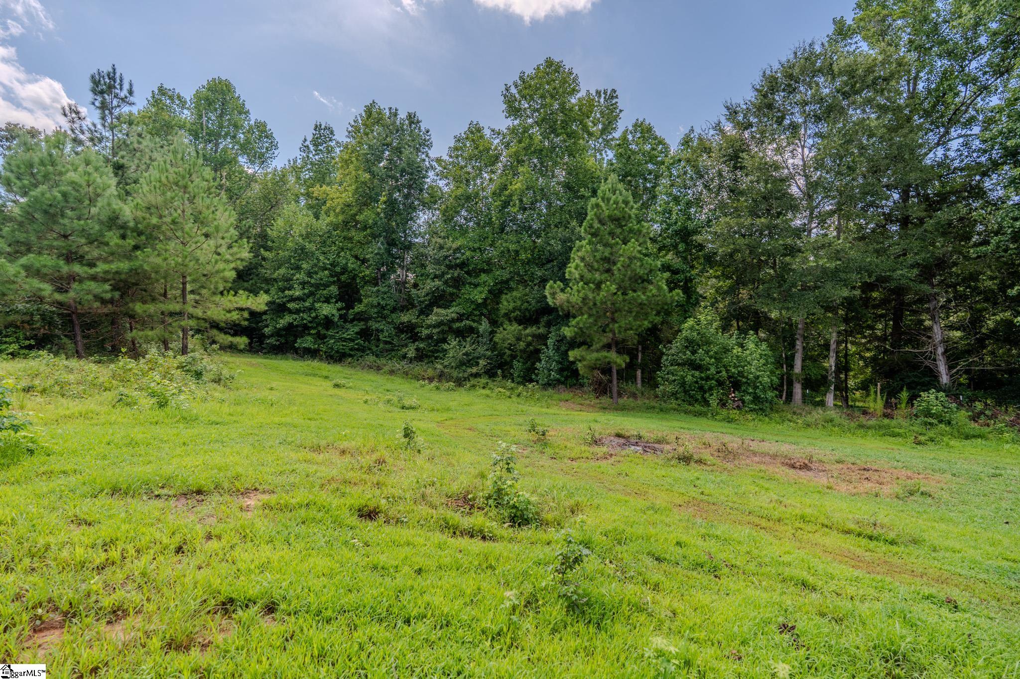 217 Richardson Road Property Photo 10