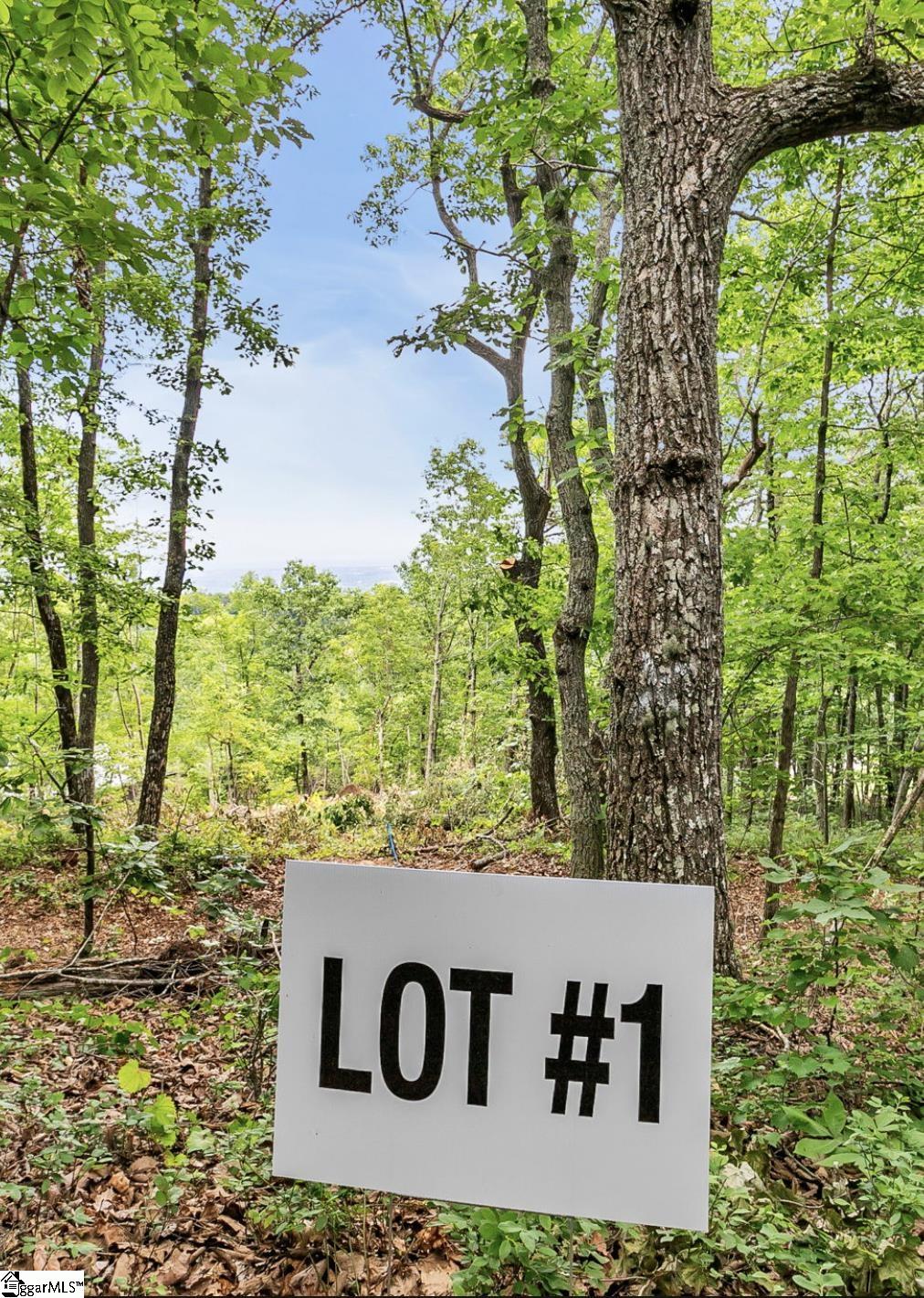 1321 Altamont Road Property Photo 3