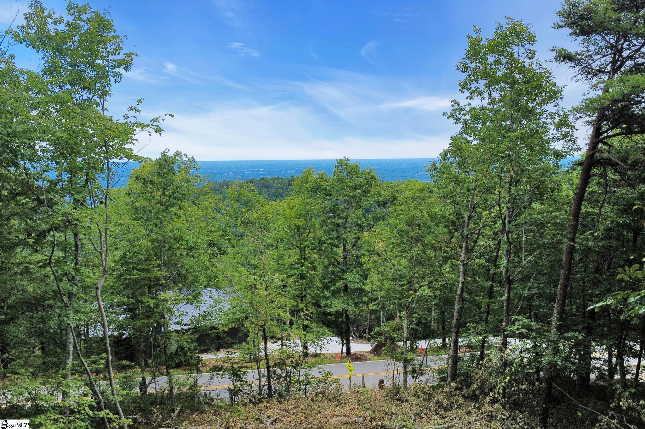 1321 Altamont Road Property Photo 4