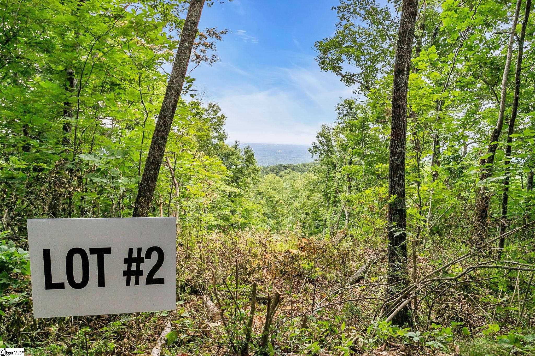 1321 Altamont Road Property Photo 6