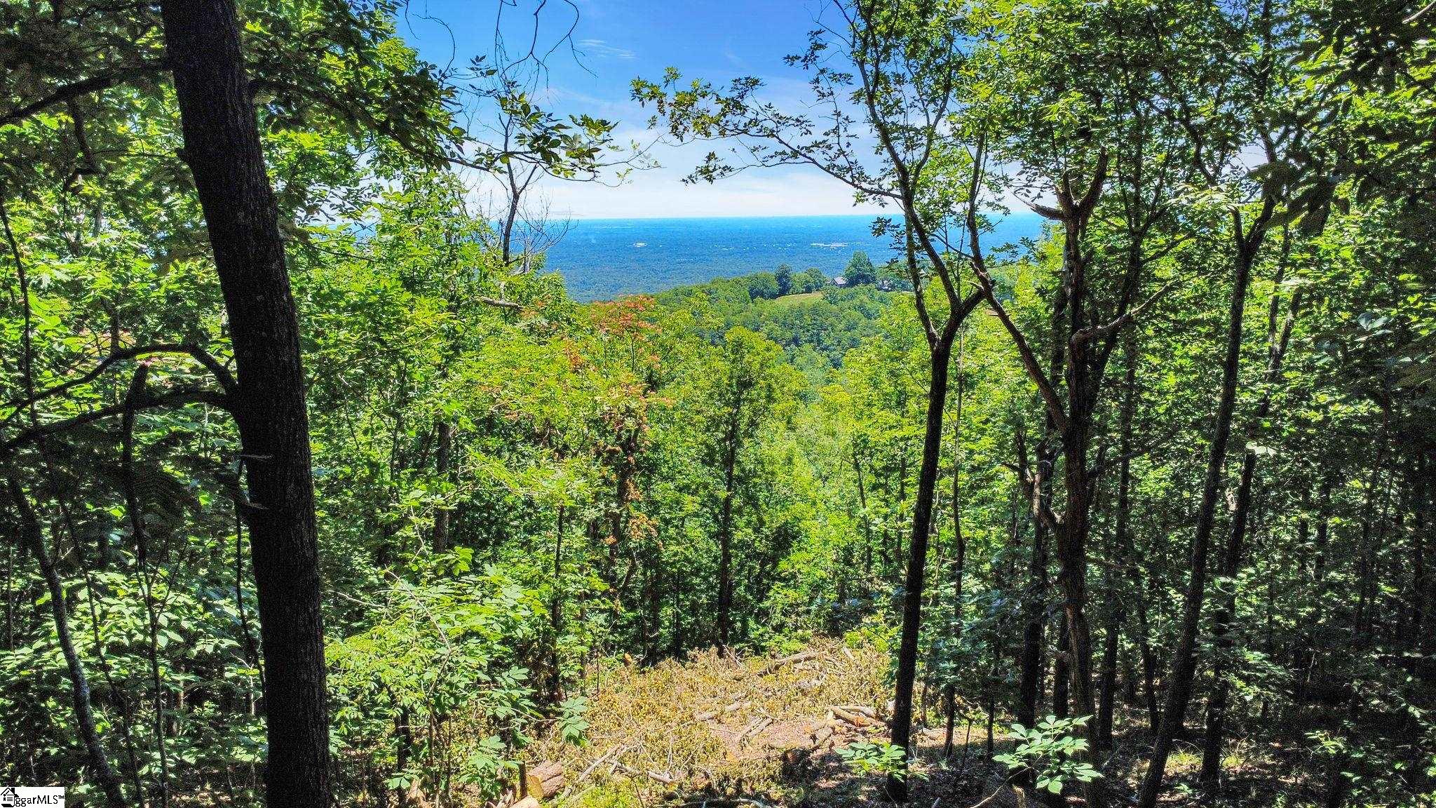 1321 Altamont Road Property Photo 10