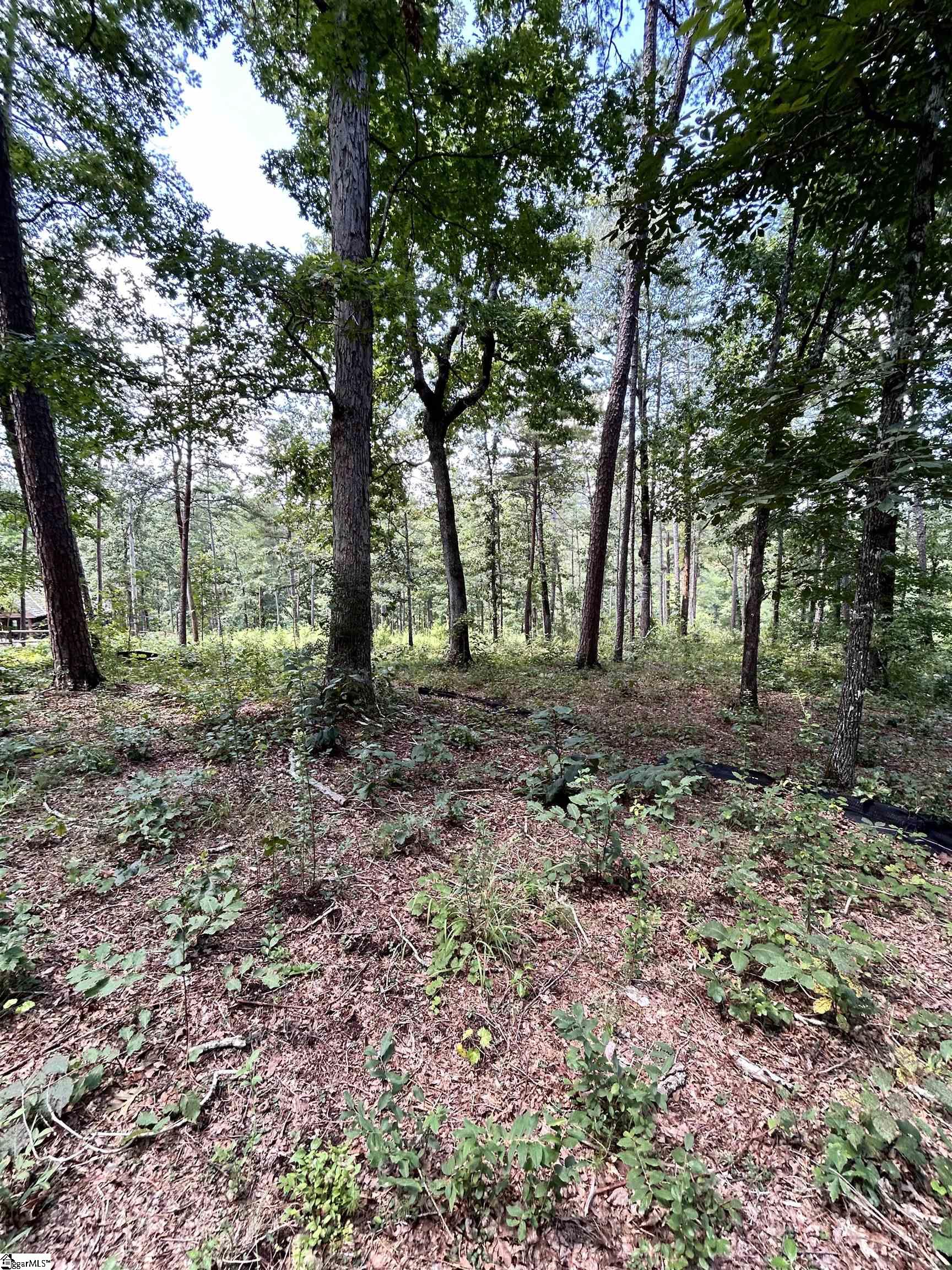 1601651 Property Photo 4