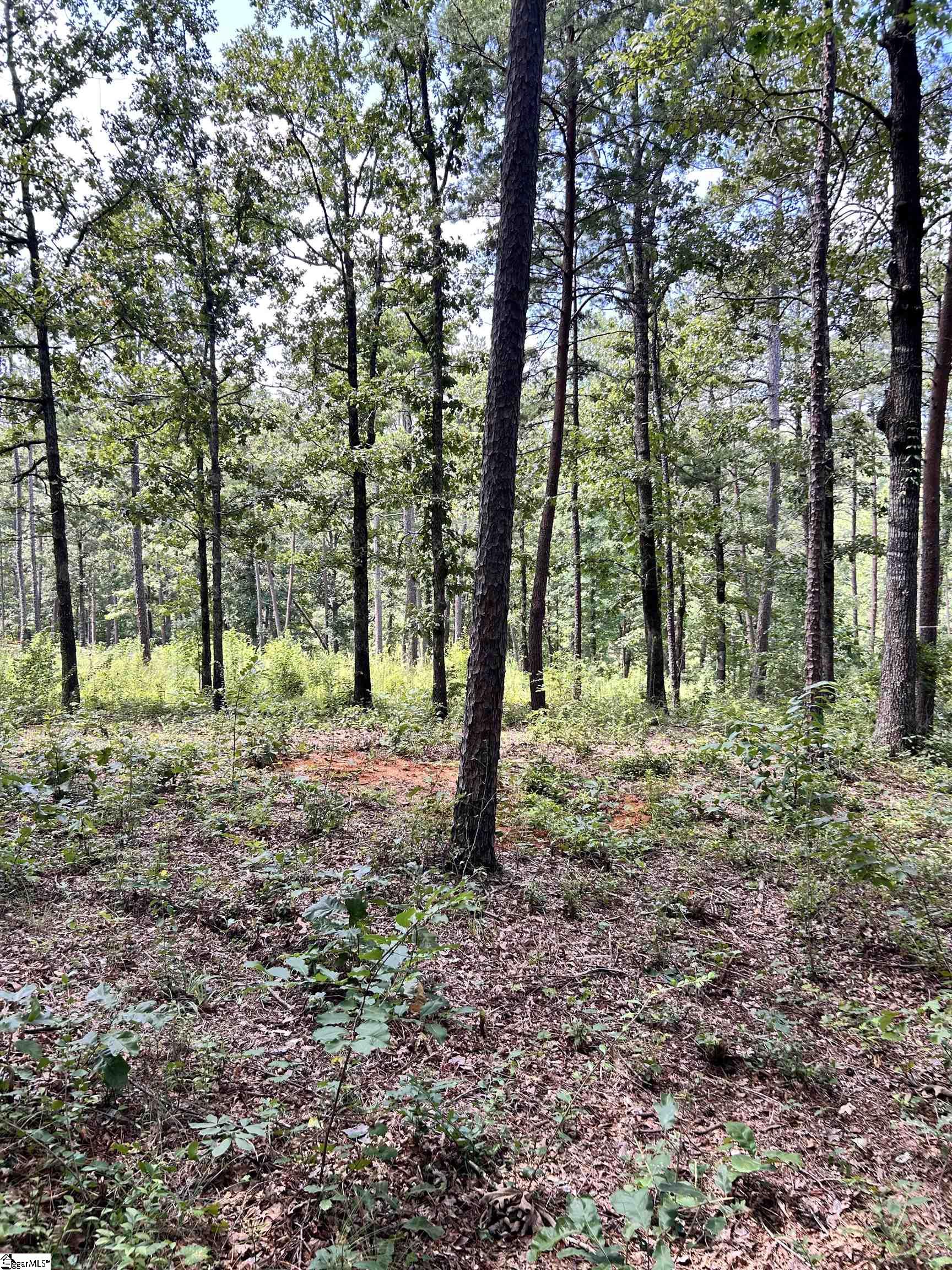 1601651 Property Photo 5