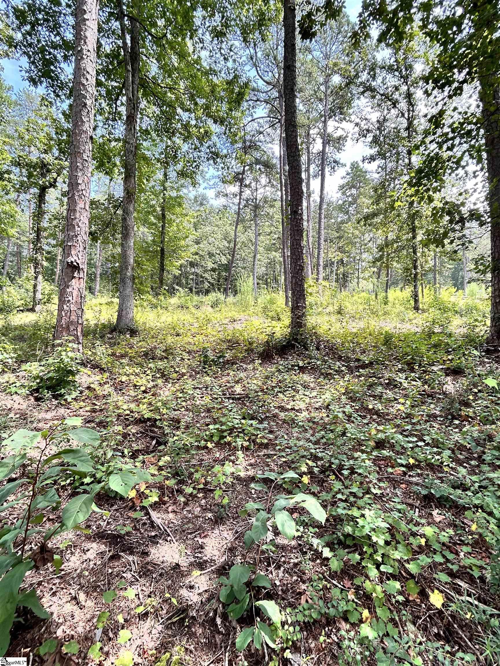 1601651 Property Photo 7