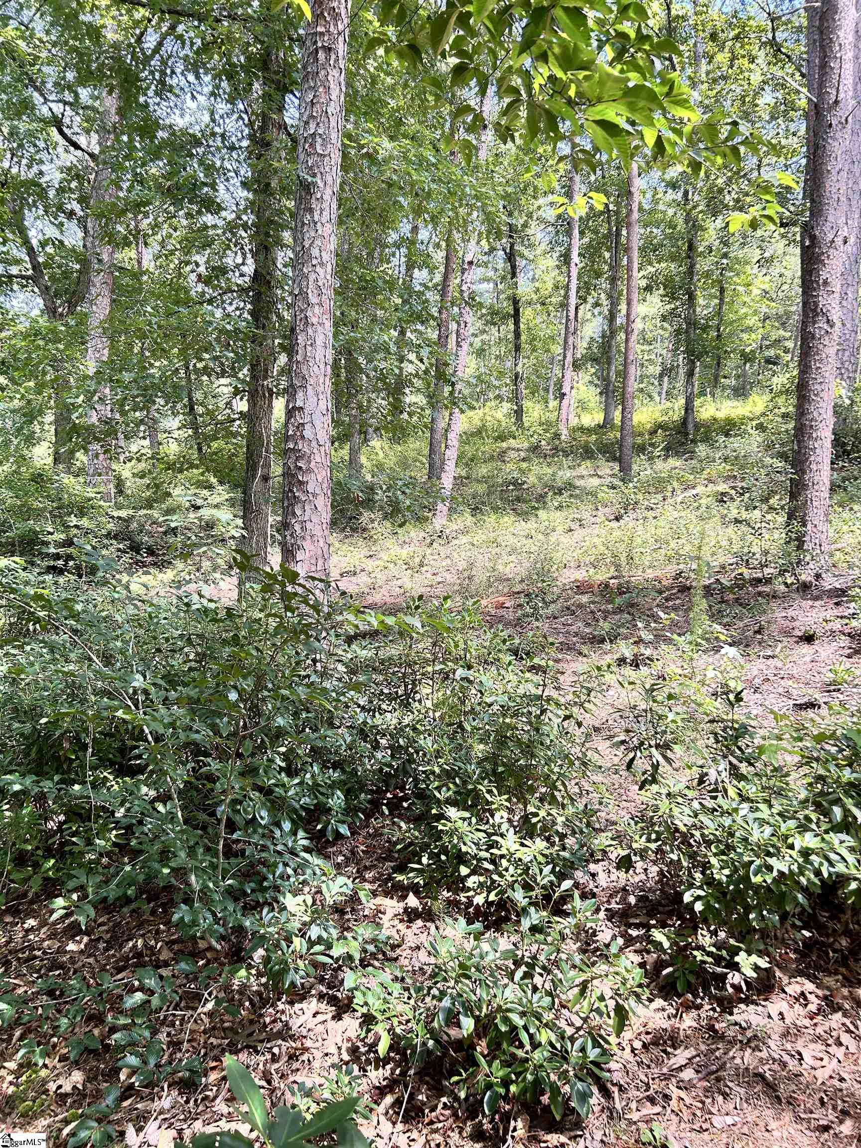 1601651 Property Photo 12