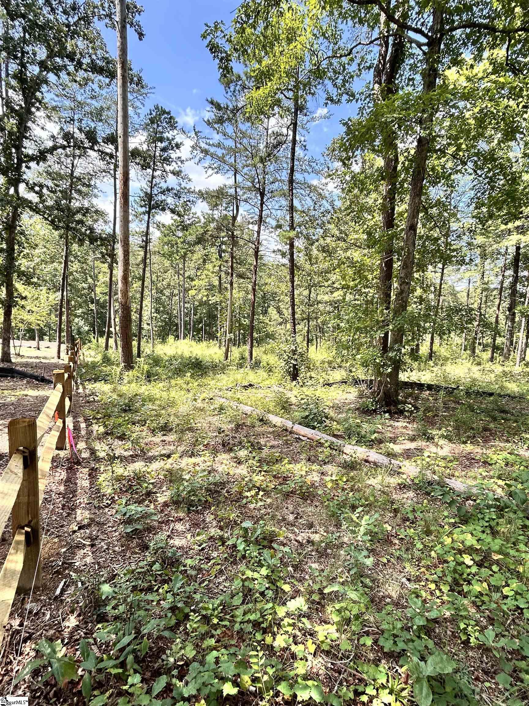 1601651 Property Photo 19
