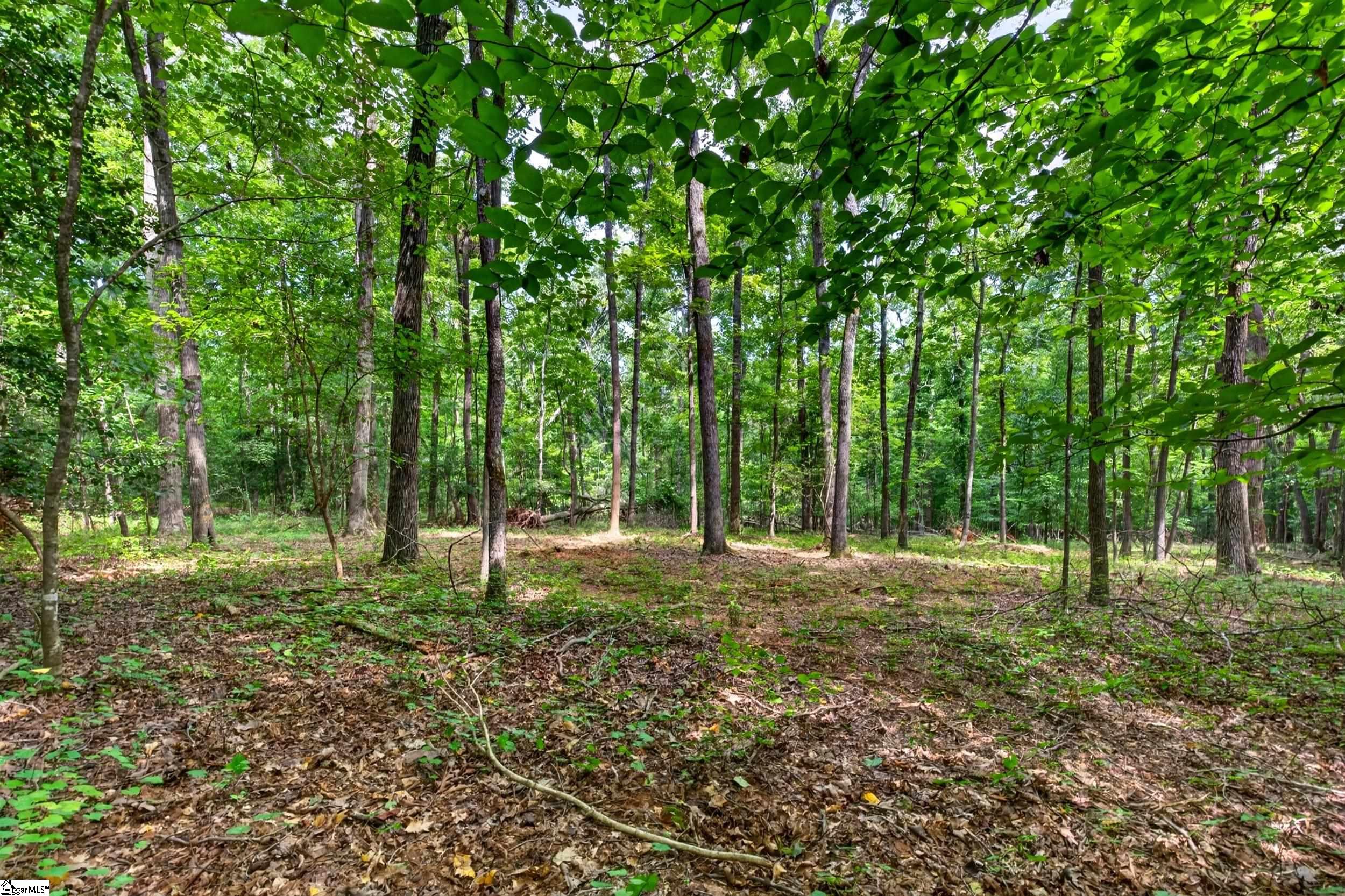00 Mcfalls Circle Property Photo 9
