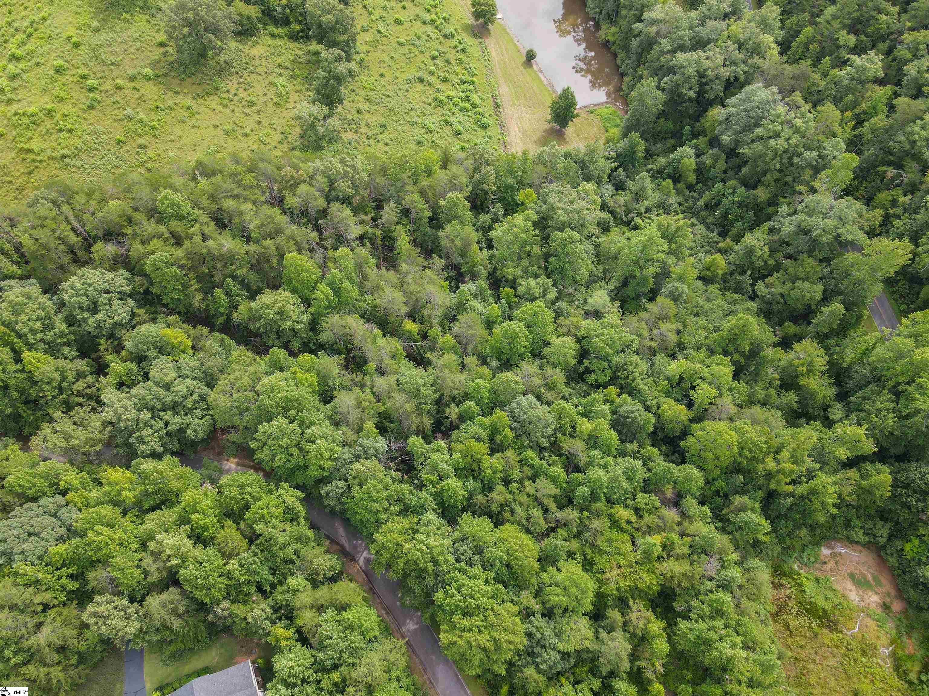 1601665 Property Photo 15