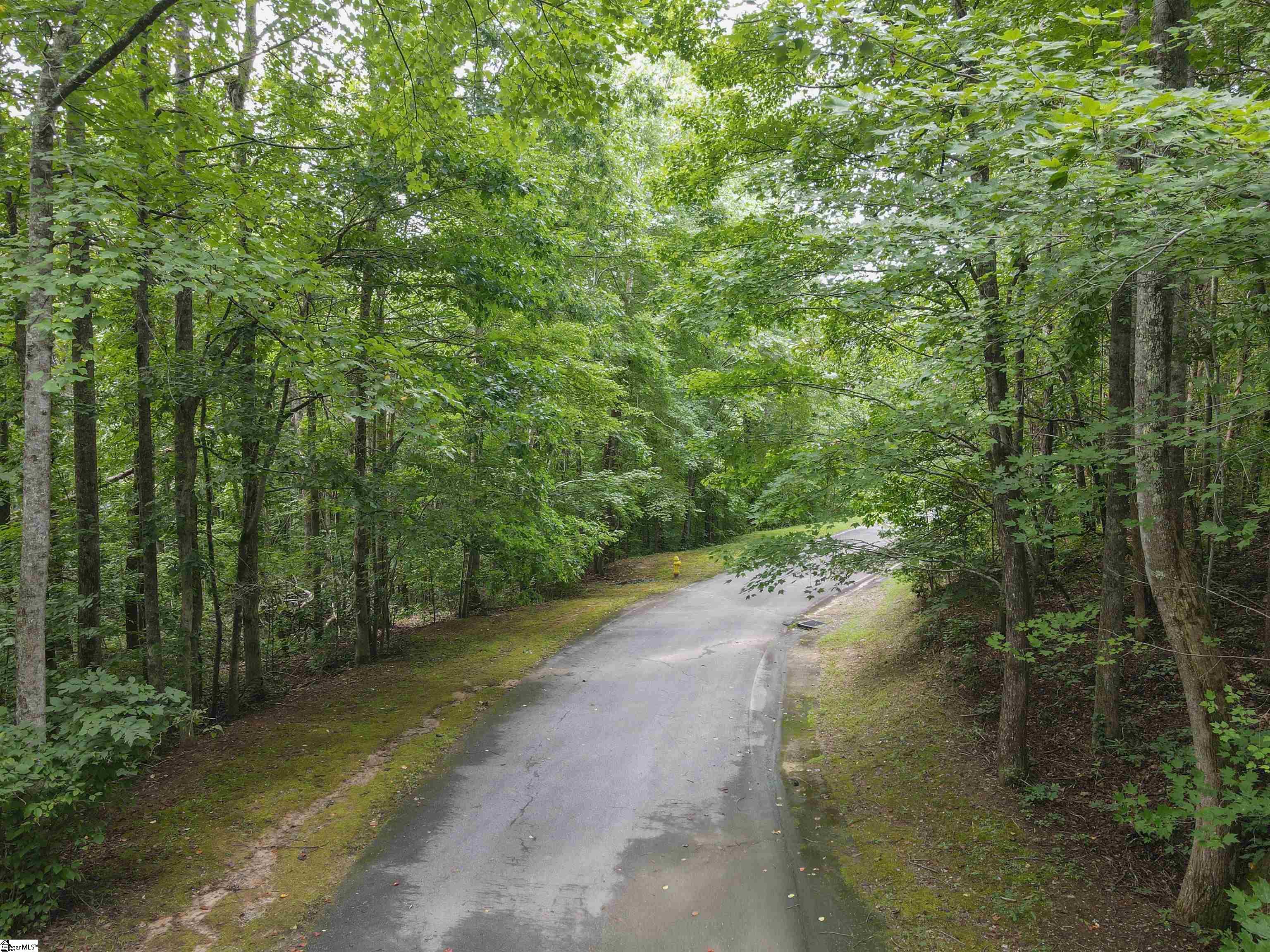 1601665 Property Photo 44