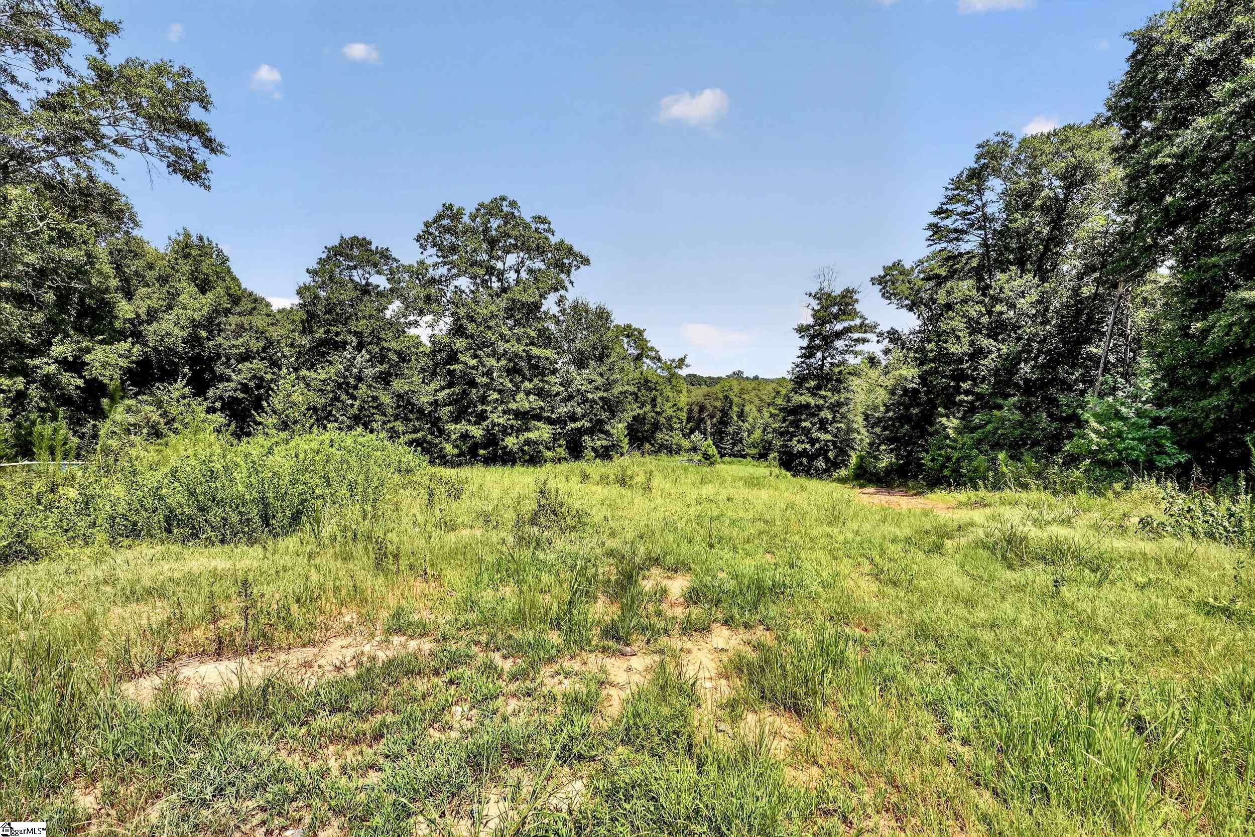 3930 Old Dobbins Bridge Road Property Photo 4