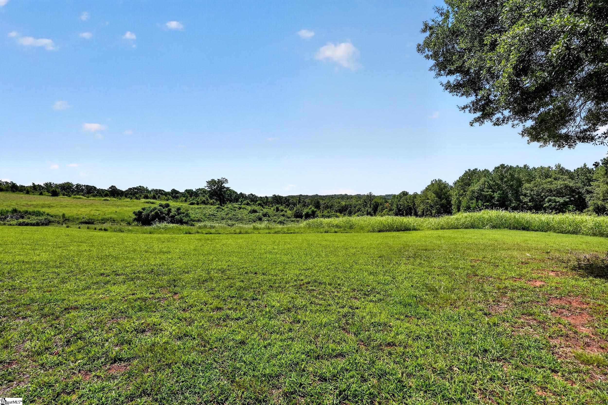 3930 Old Dobbins Bridge Road Property Photo 5