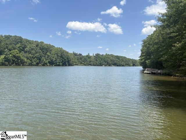 127 Lake Robinson Pointe Property Photo 2