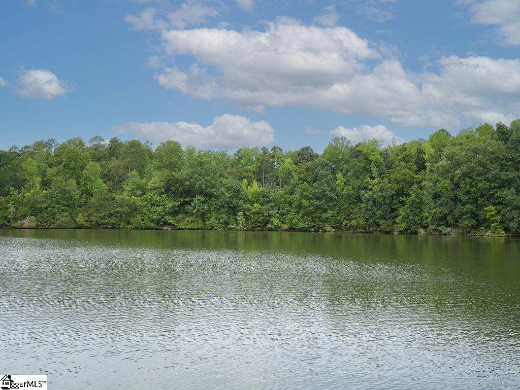 127 Lake Robinson Pointe Property Photo 3