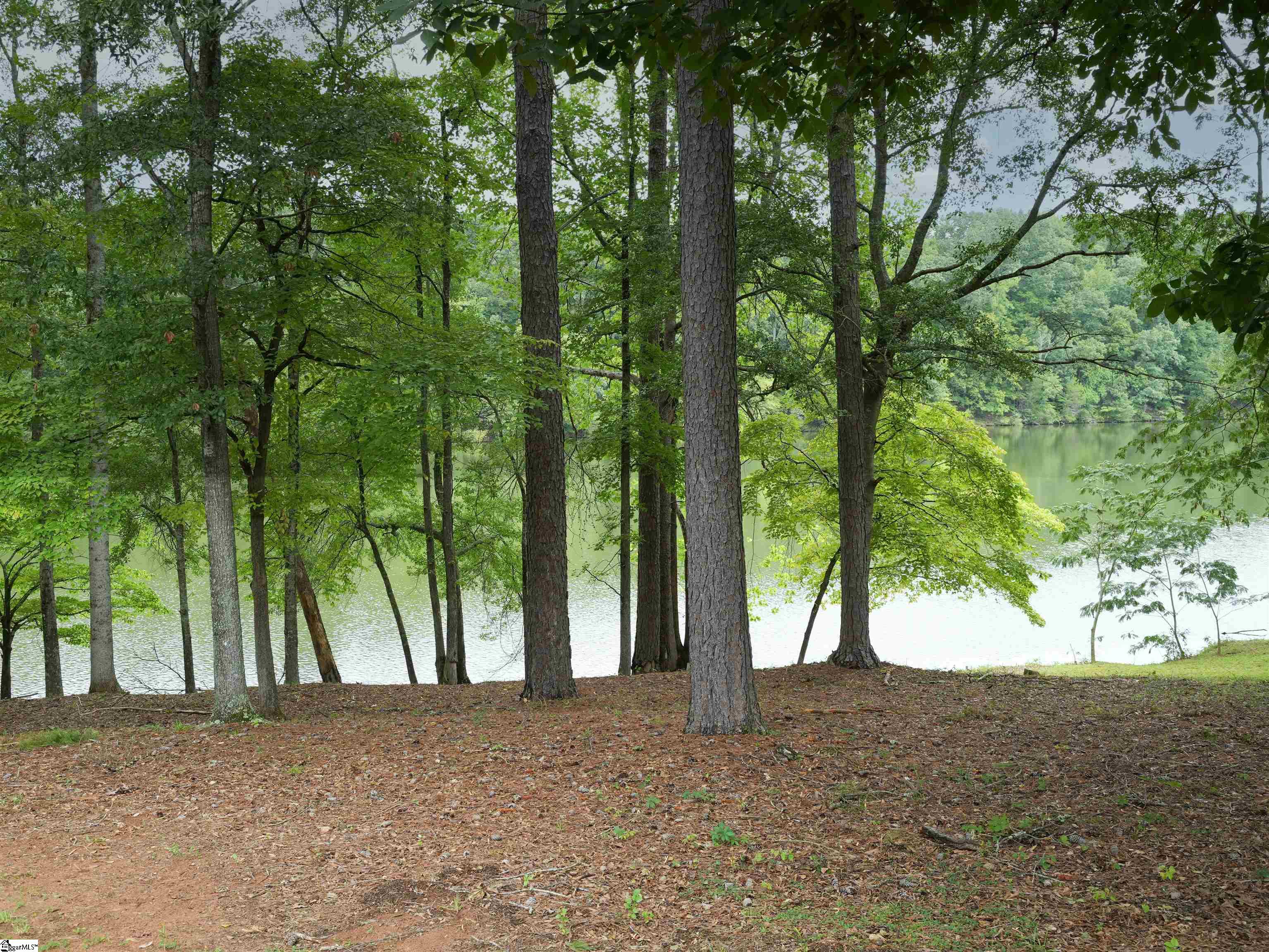 127 Lake Robinson Pointe Property Photo 16