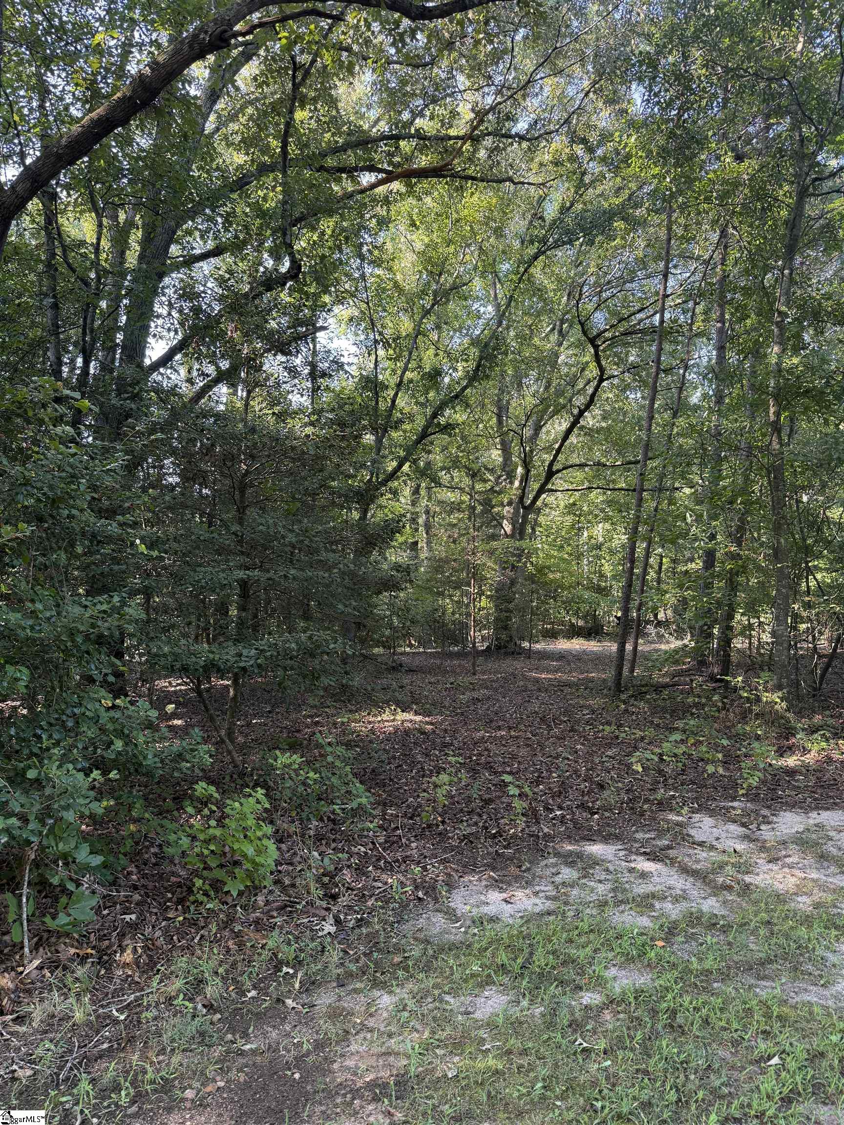 0 Joe Leonard Road Property Photo 5