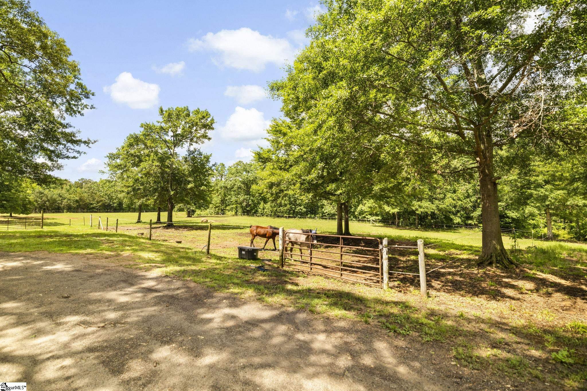 155 Reining Way Property Photo 19