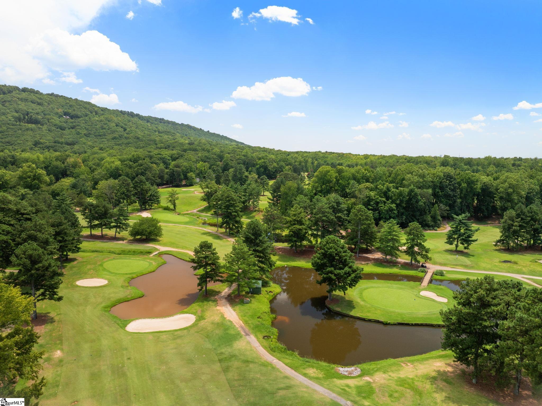 30 Belle Terre Court Property Photo 41