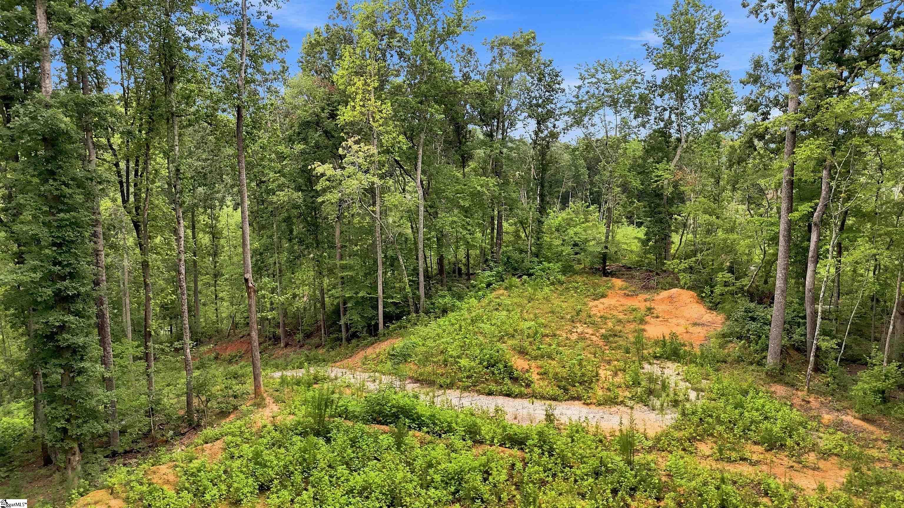 139 Old Sc 11 Highway Property Photo 7