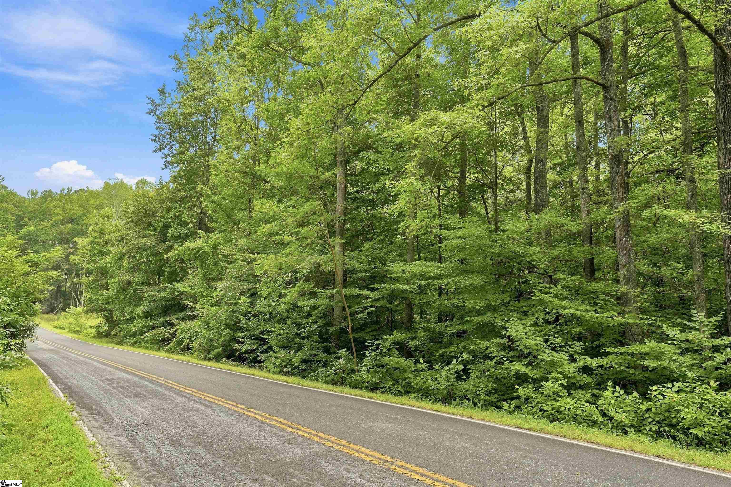 139 Old Sc 11 Highway Property Photo 13