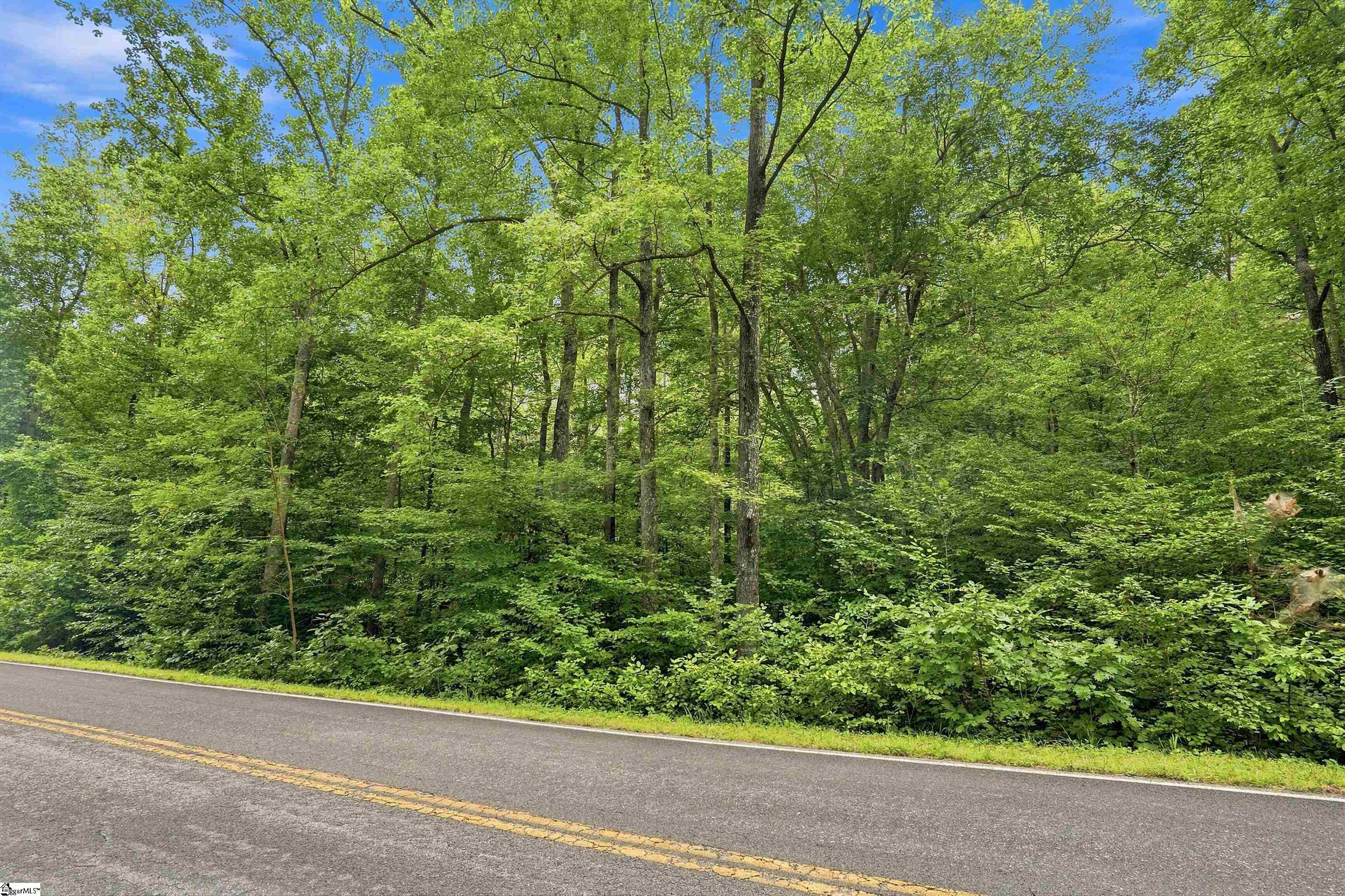 139 Old Sc 11 Highway Property Photo 14