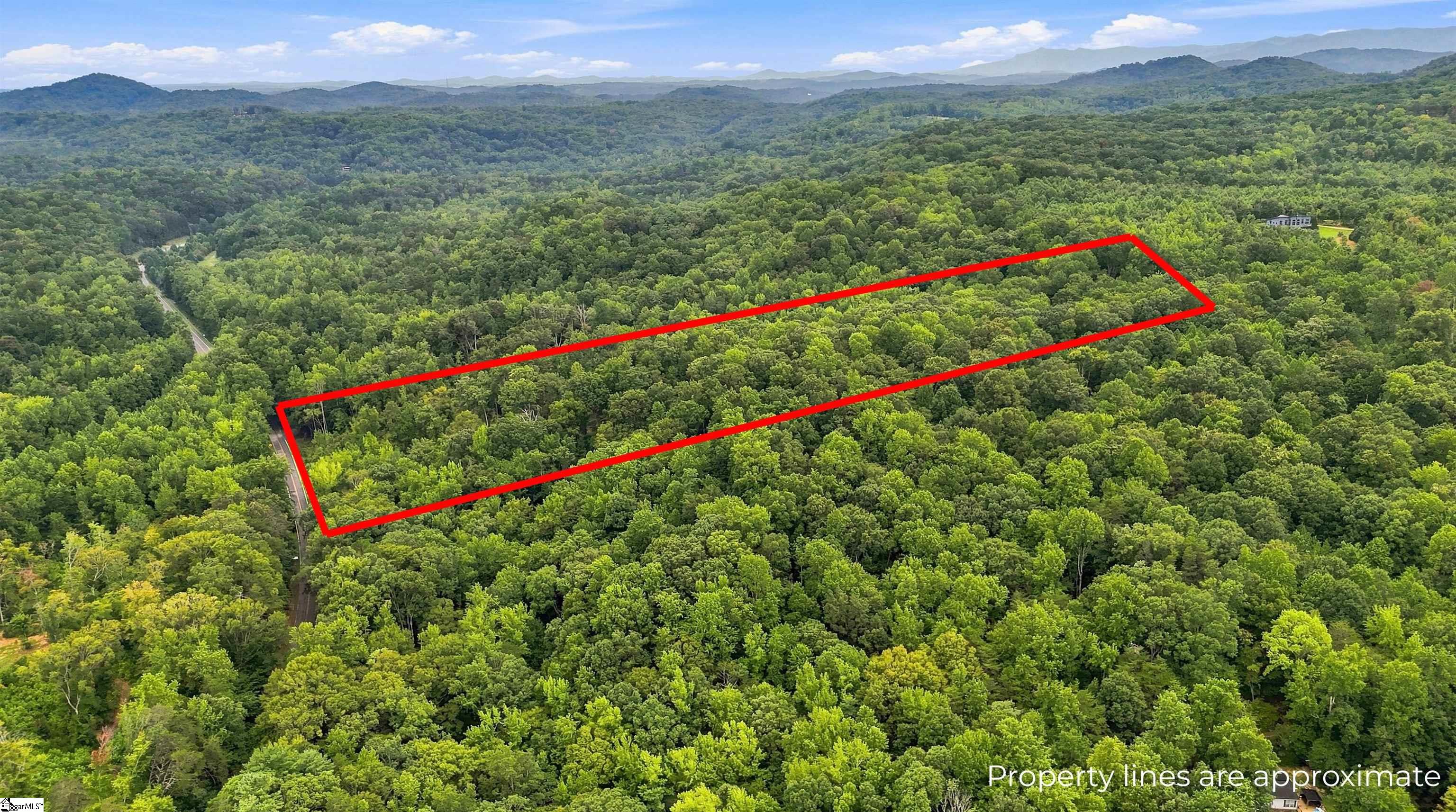 139 Old Sc 11 Highway Property Photo 15