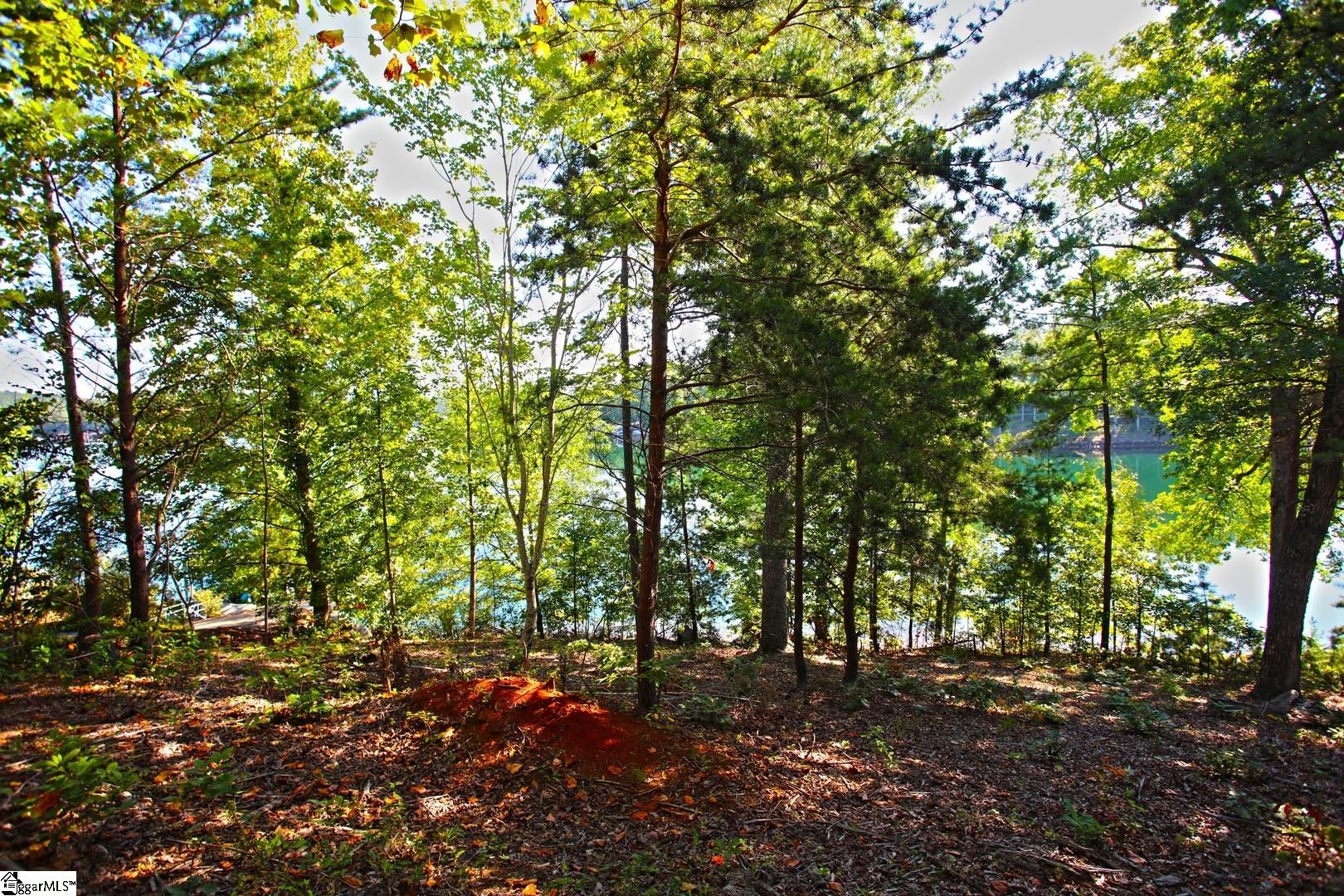 120 Vaughn Court Property Photo 41