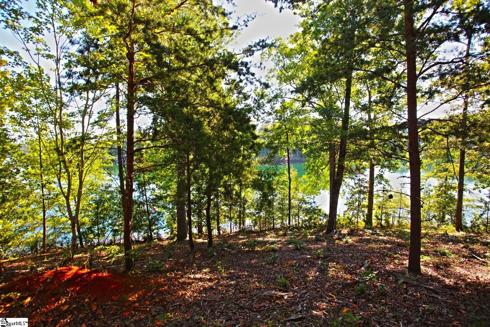 120 Vaughn Court Property Photo 42