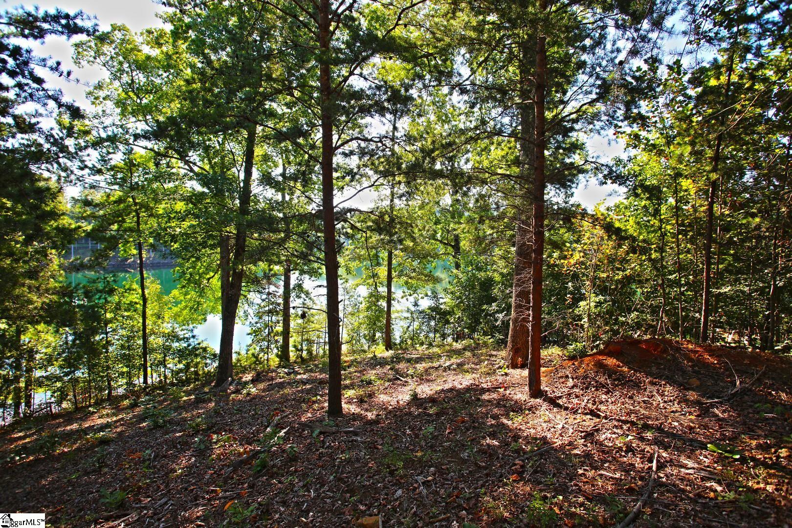 120 Vaughn Court Property Photo 43
