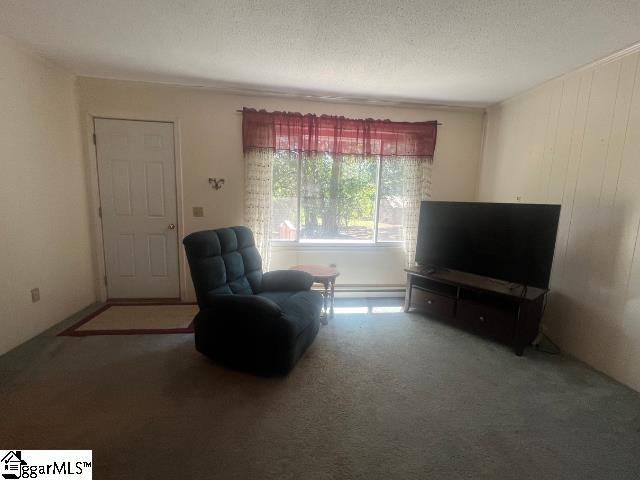 3715 South Carolina 24 Highway Property Photo 3