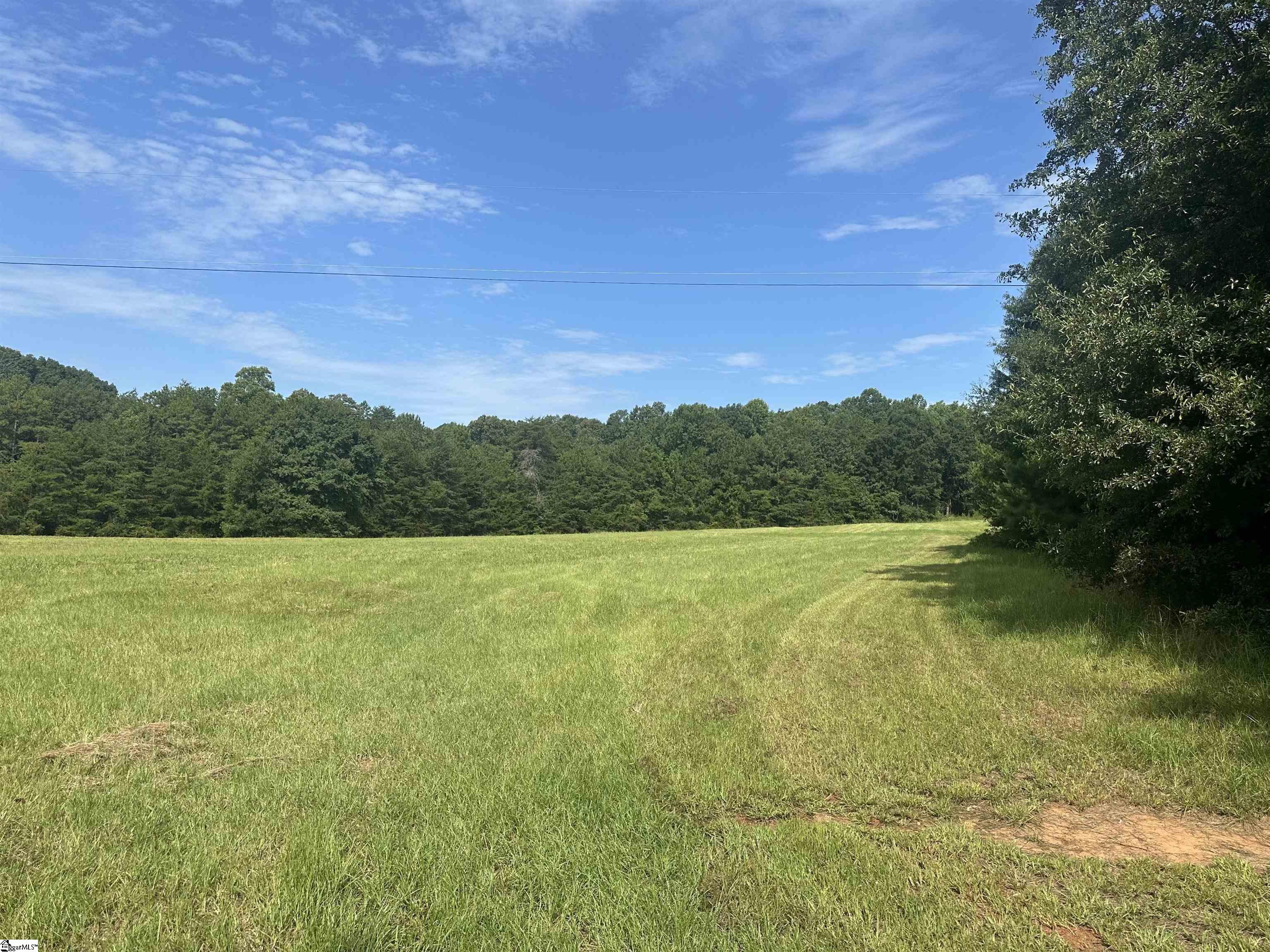 Tract 2 Five Forks Road Property Photo 7