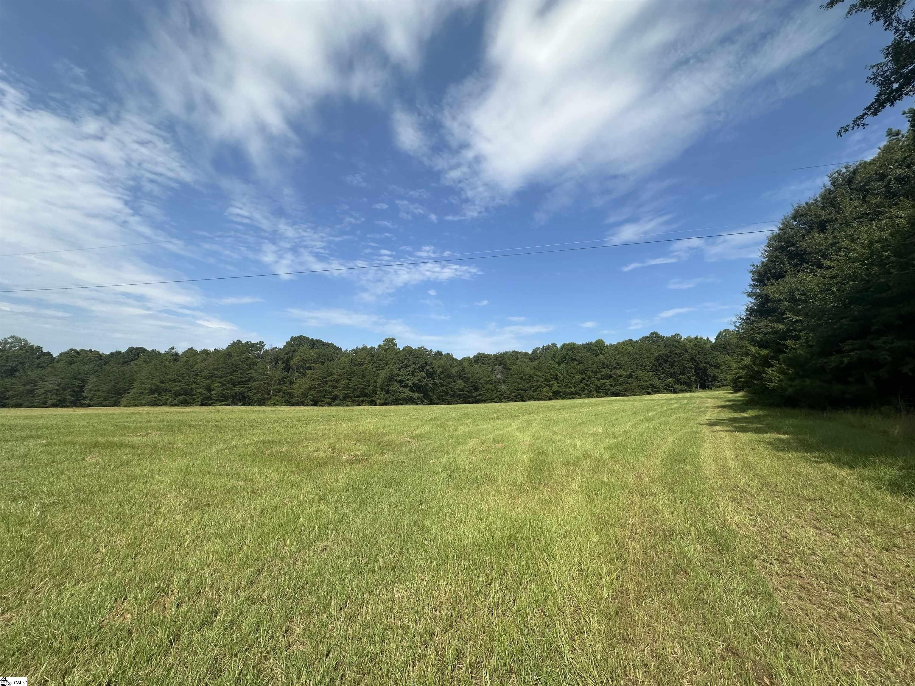 Tract 2 Five Forks Road Property Photo 9