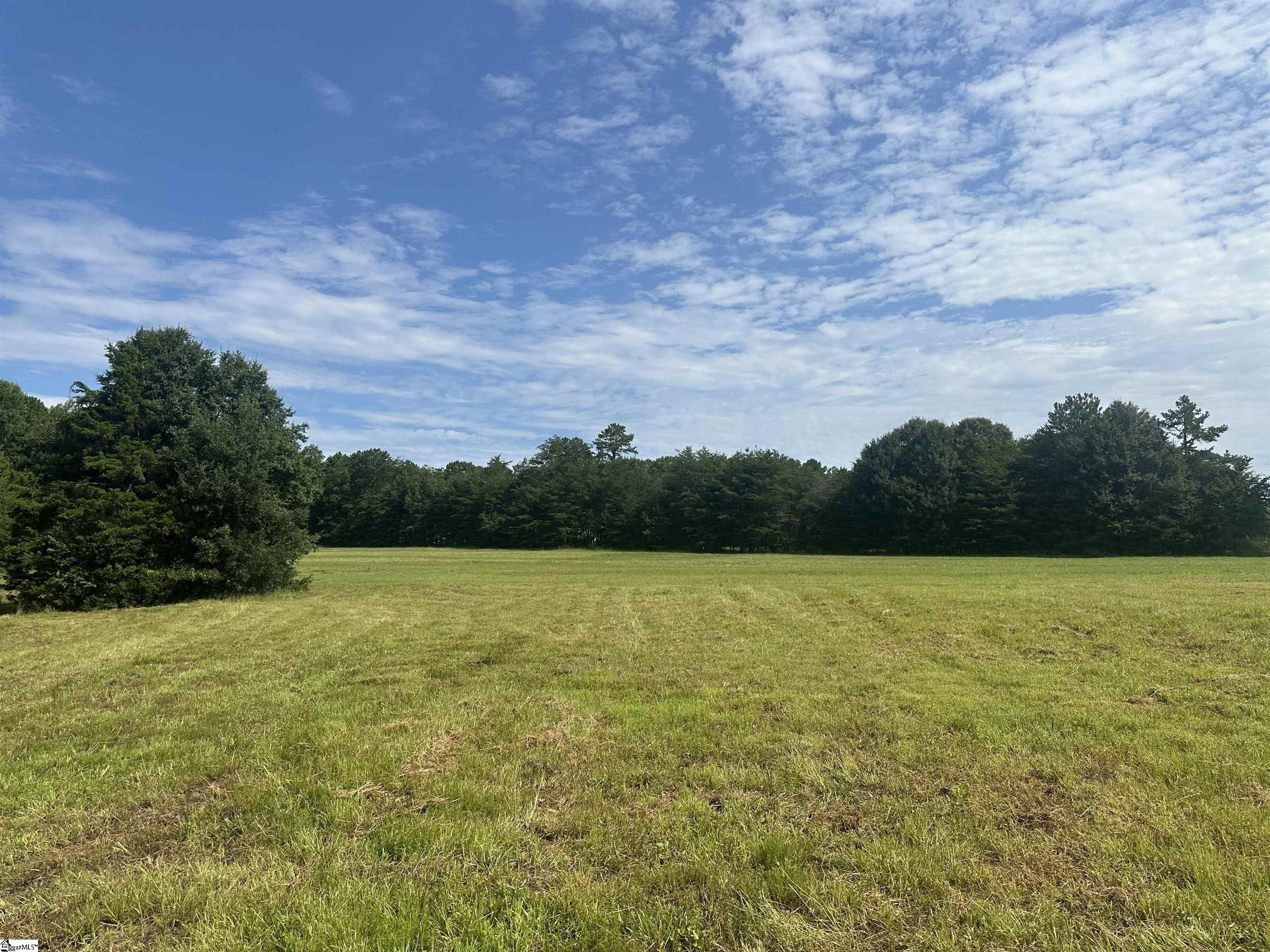 Tract 2 Five Forks Road Property Photo 11