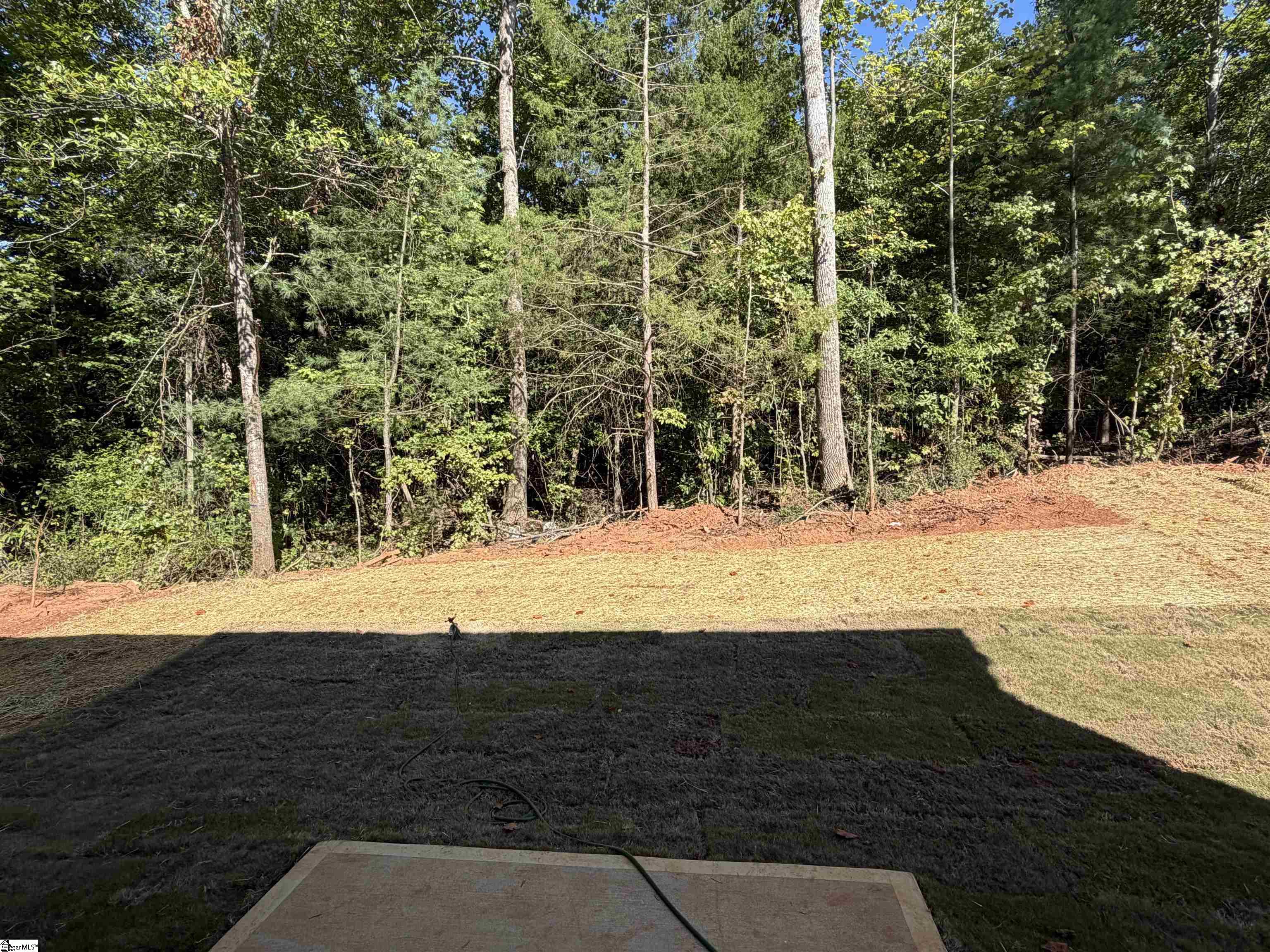 218 Hamilton Street Property Photo 15