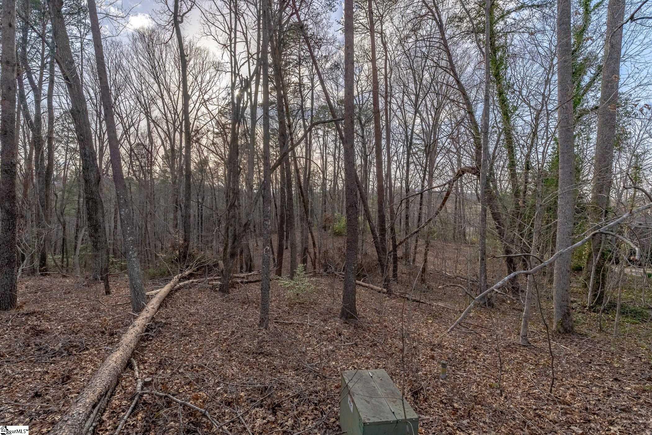 18 Rhone Valley Lane Property Photo 4
