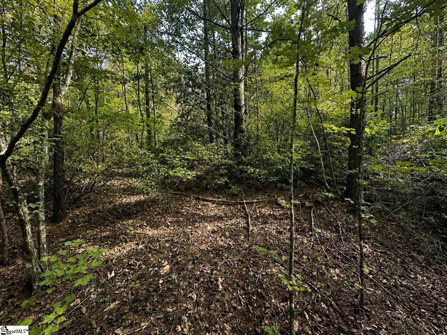 00 Sc Hwy 11 Property Photo 6