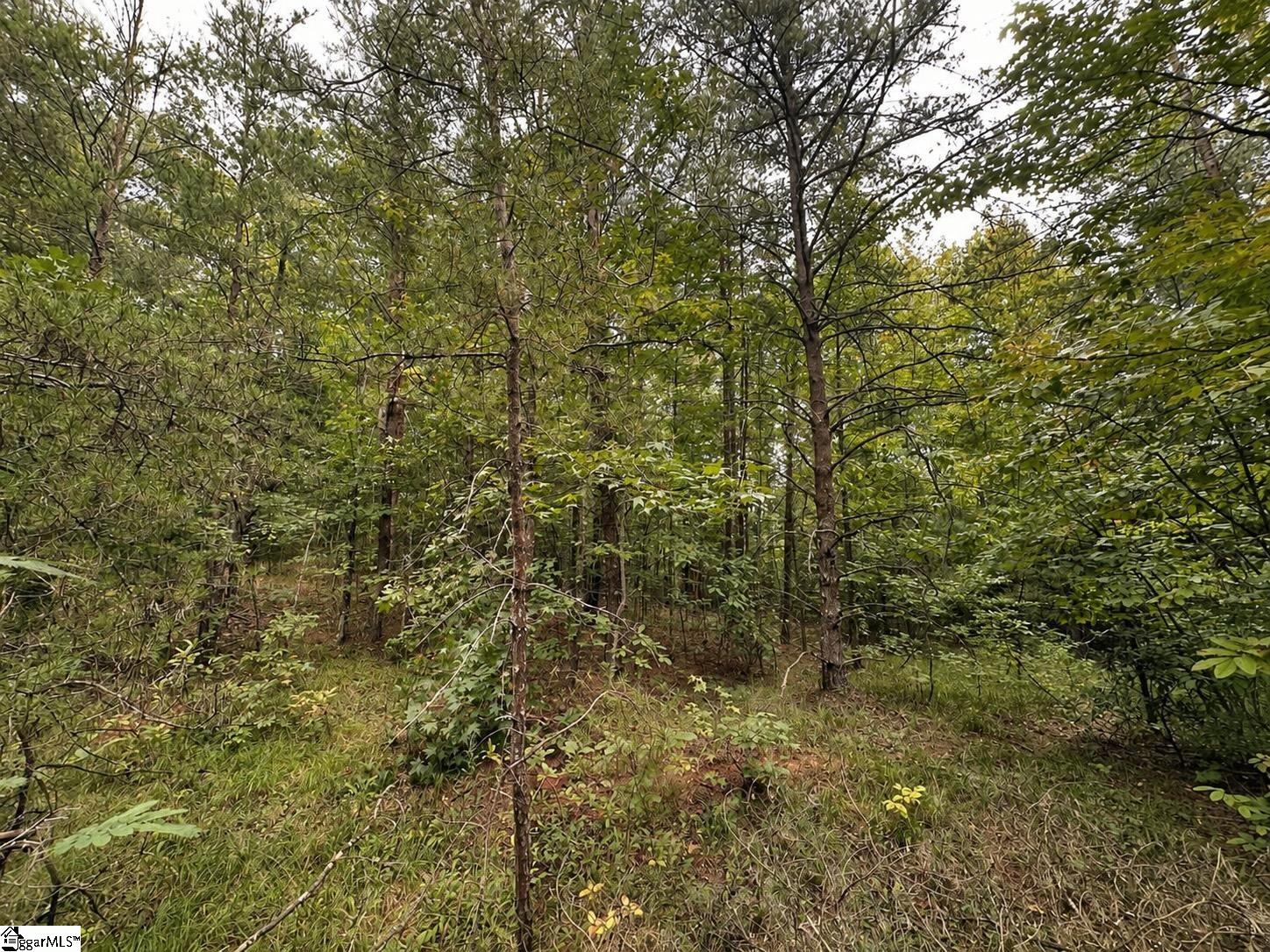 00 Sc Hwy 11 Property Photo 10