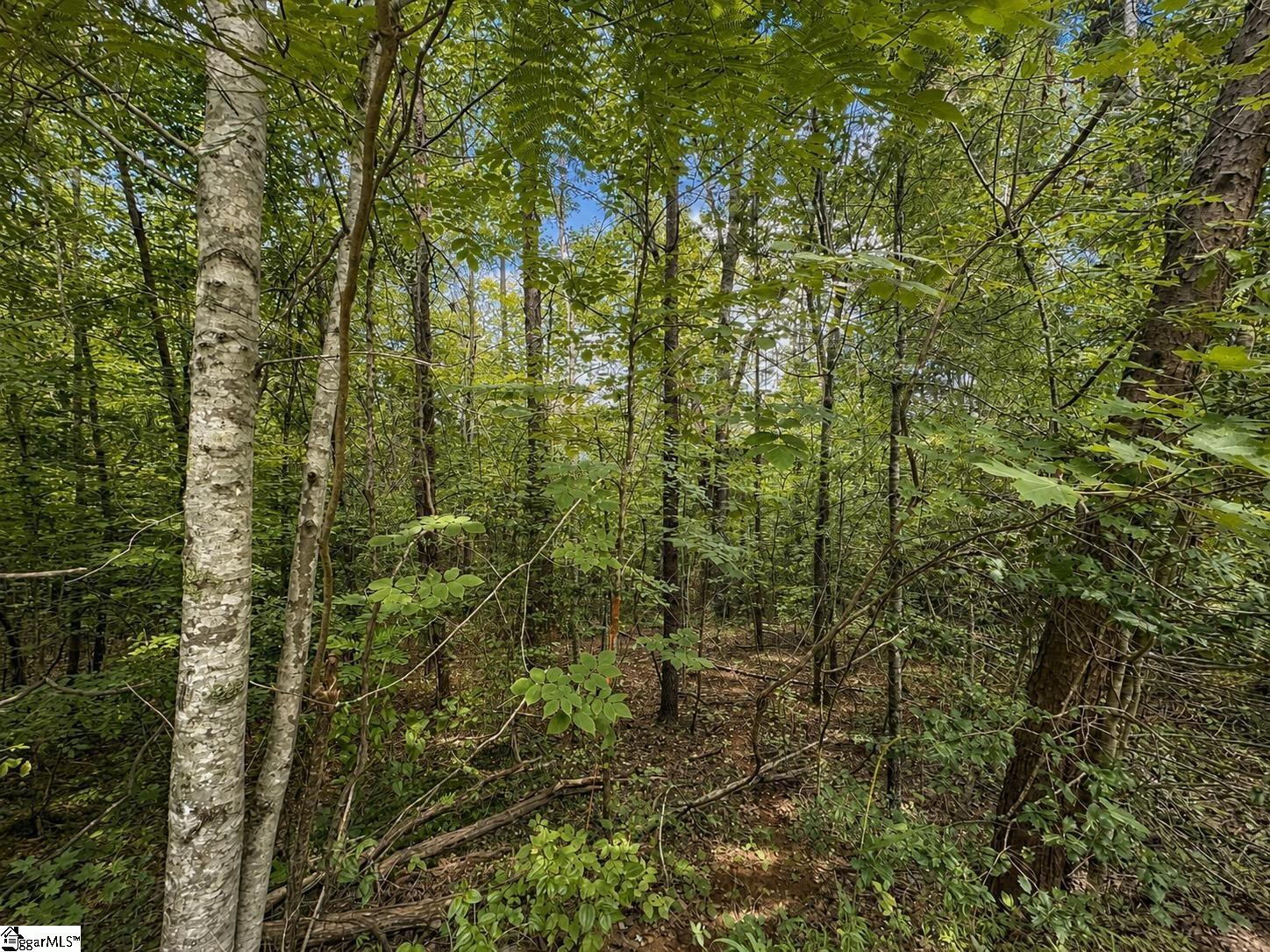 00 Sc Hwy 11 Property Photo 13